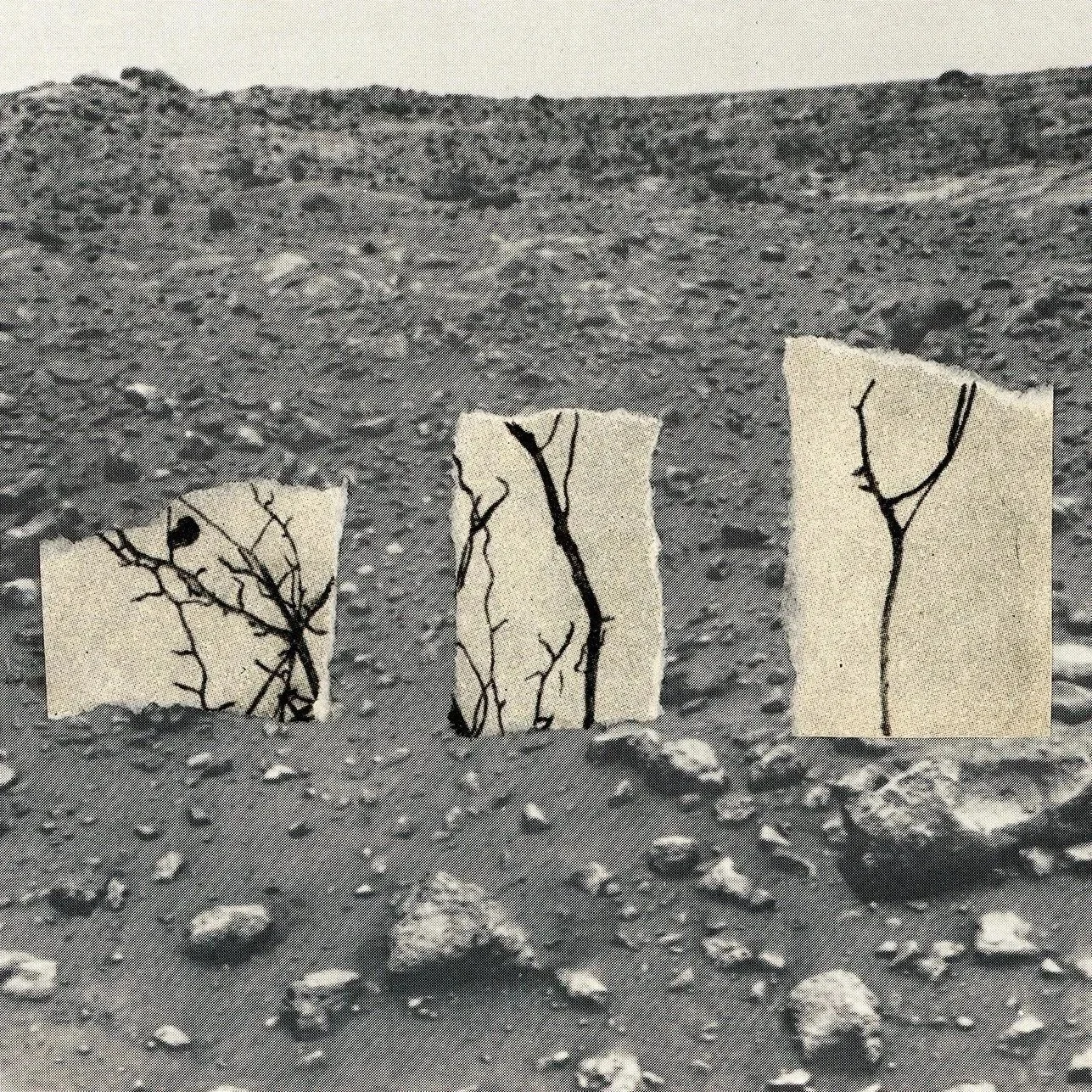 Fractures (2025)
Collage with found materials