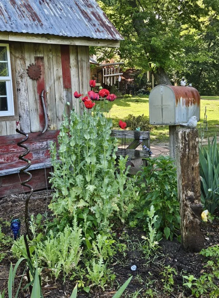Garden Party.jpg