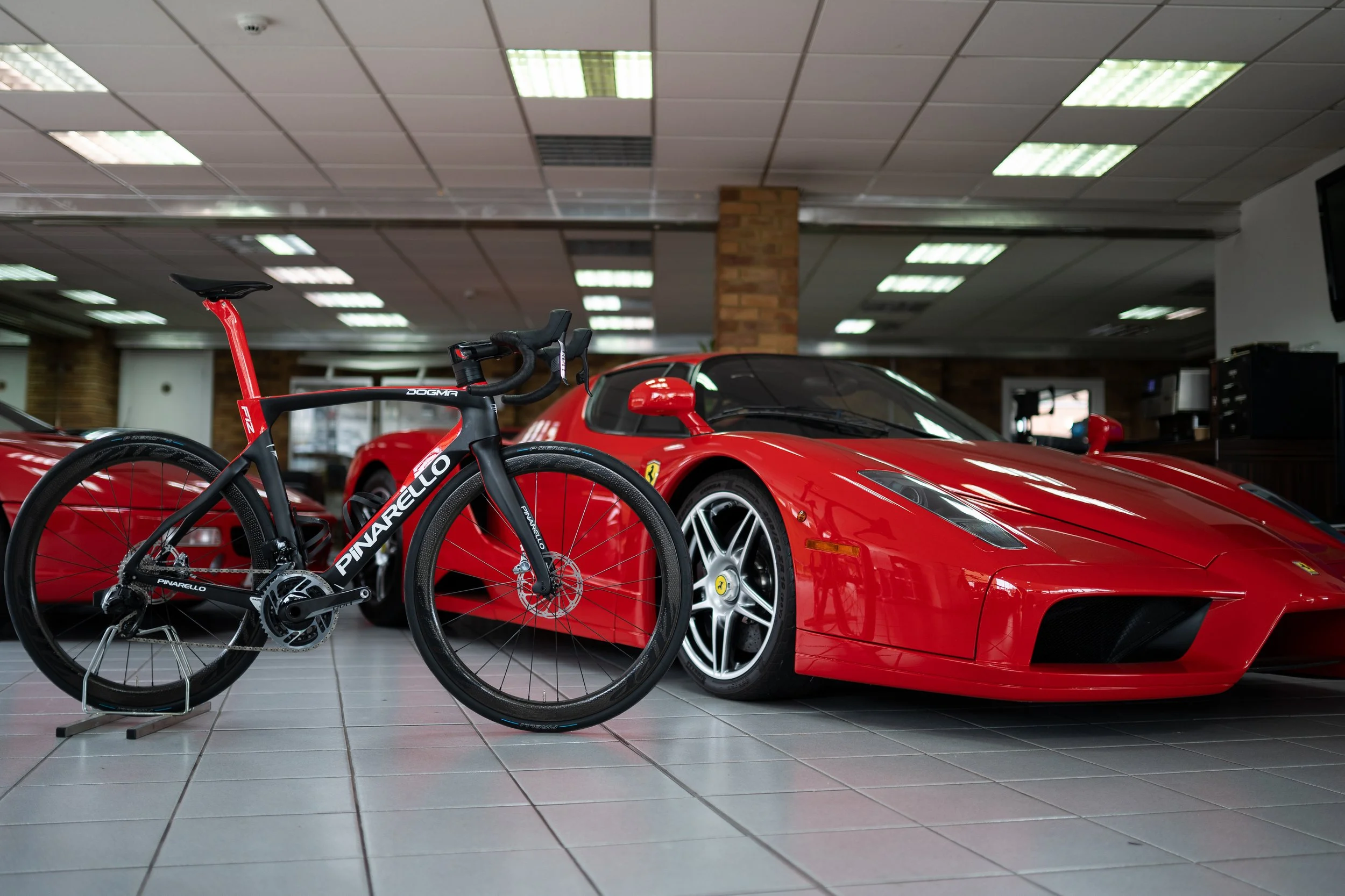 Dogma Launch
