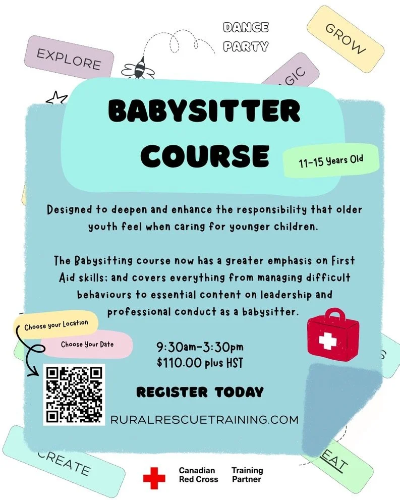 Babysitters & Stay Safe! Zine