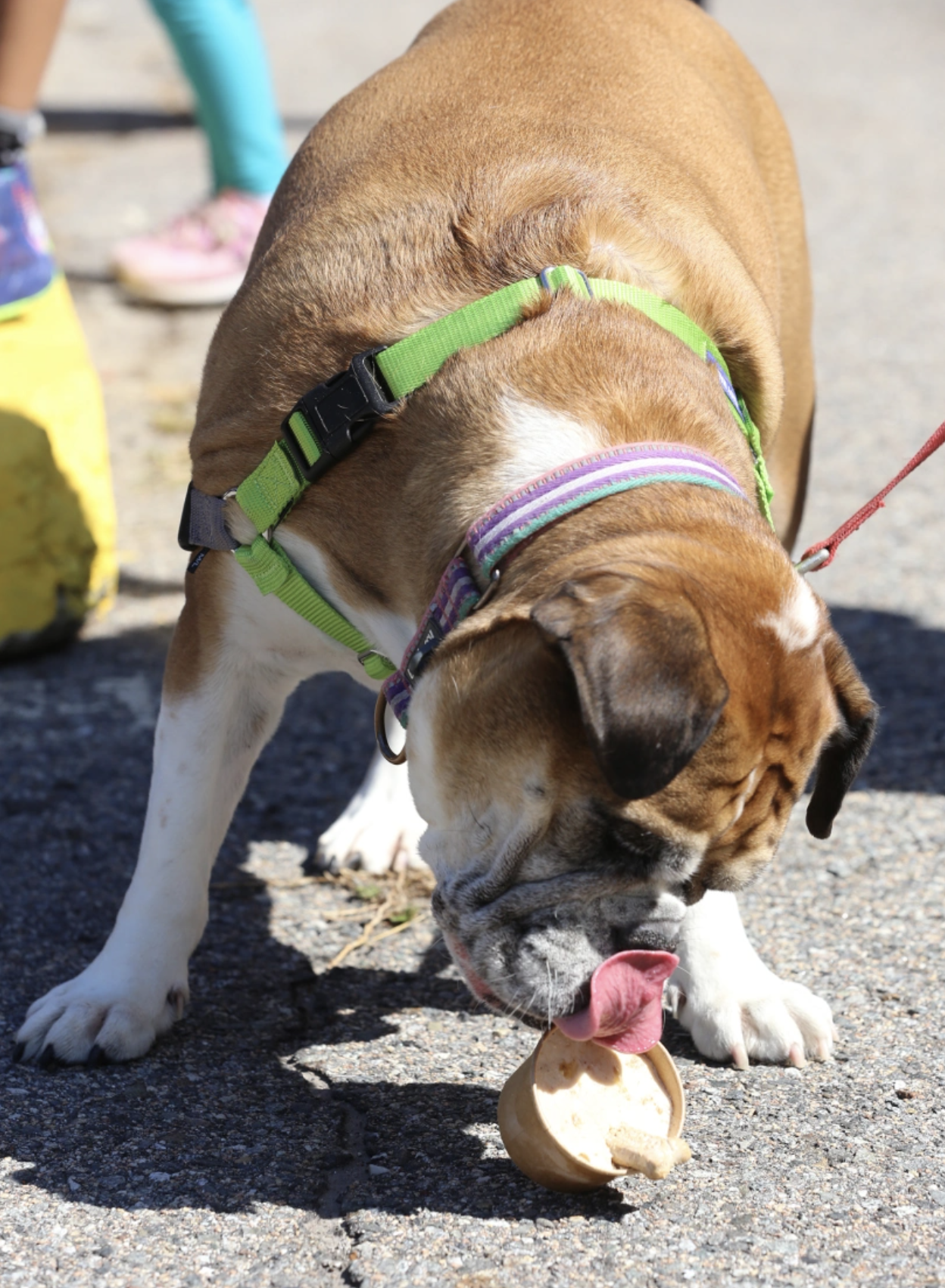 Screenshot 2023-02-28 at 2.15.22 PM.png