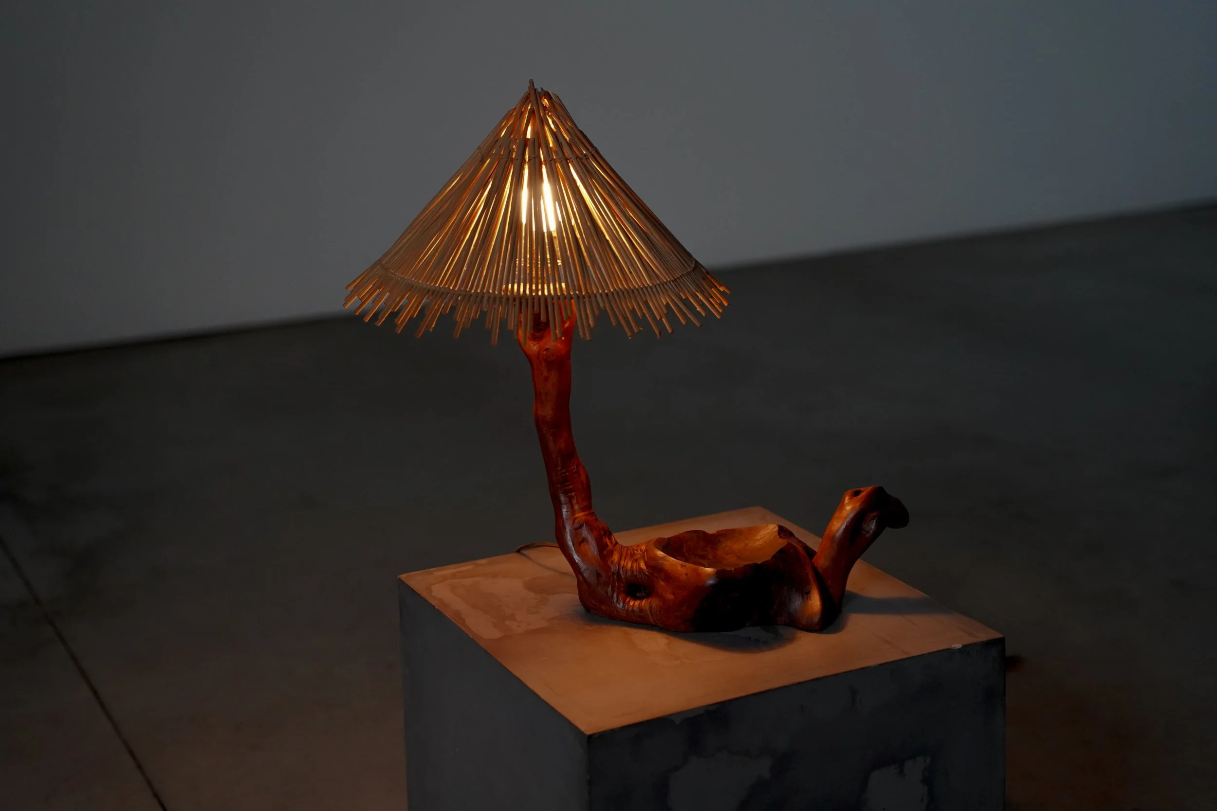 GRAPE WOOD DESK LAMP