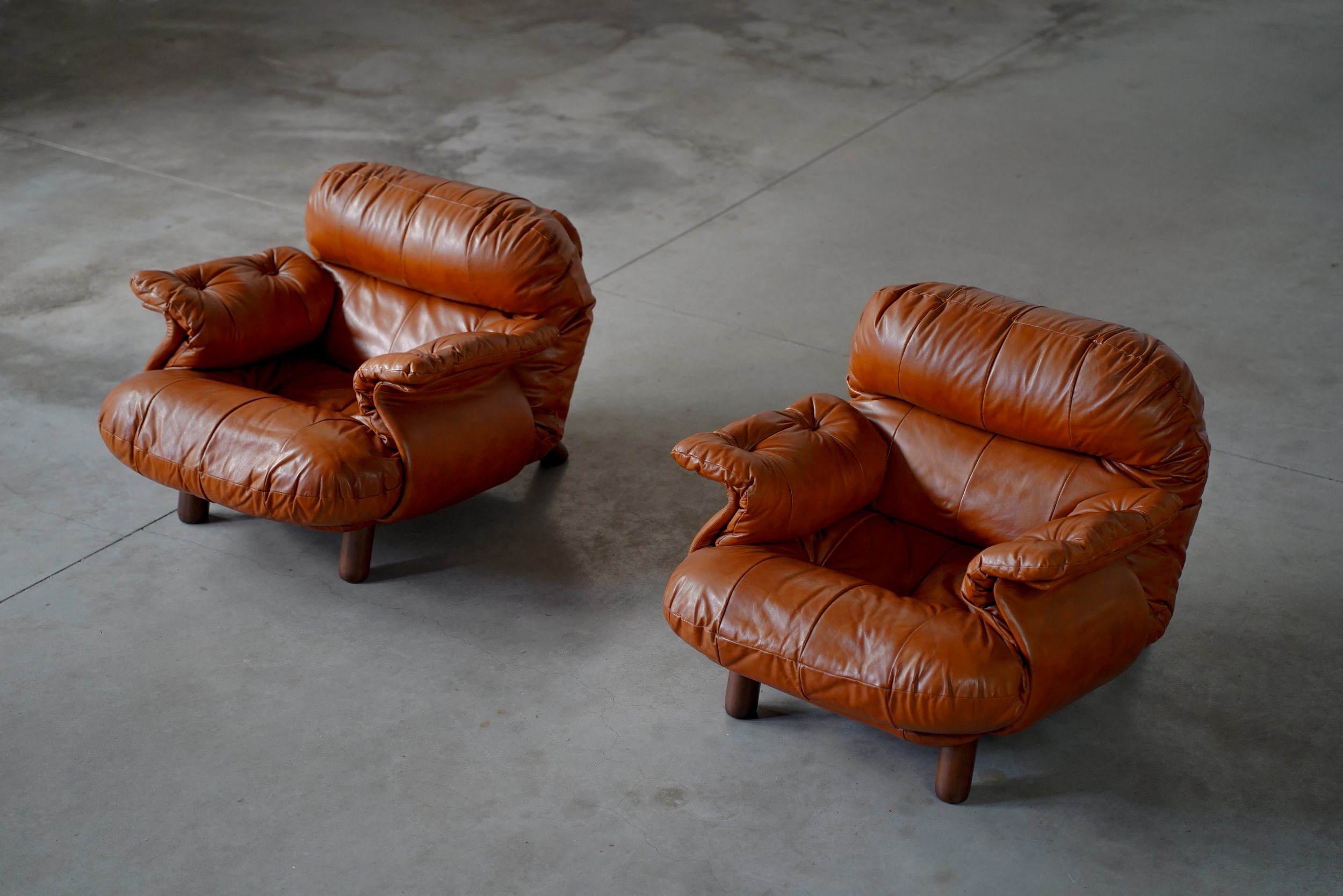 LOUNGE CHAIRS BY E. COBIANCHI FOR INSA ITALY