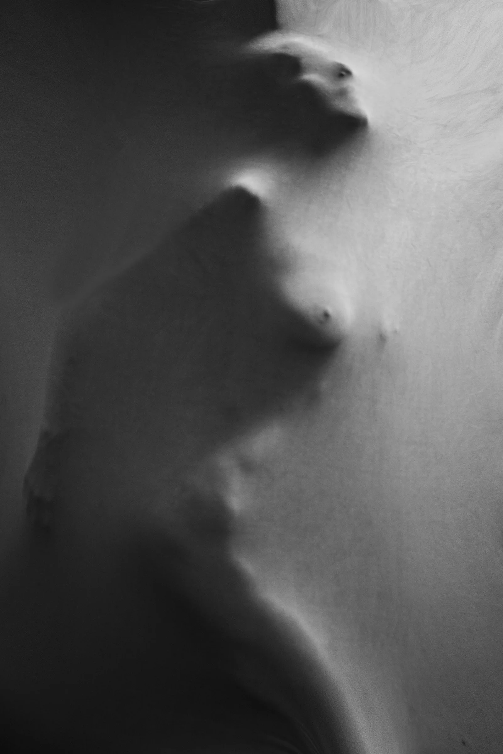 Close-up black and white photo of a bird in flight, captured from beneath, showing its wings and head against a light sky.