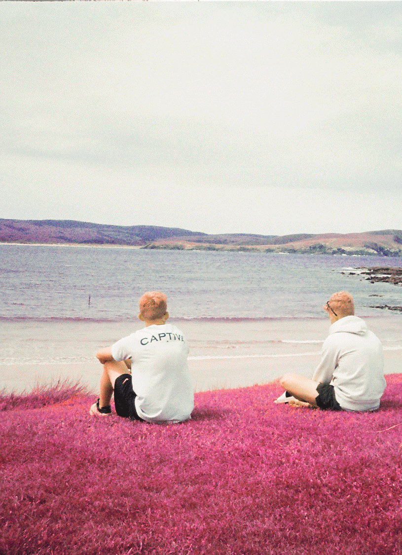7.gif