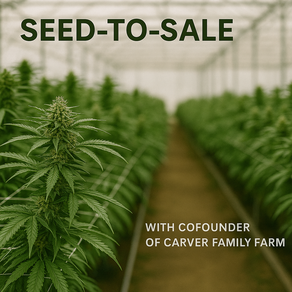 Exploring the Cannabis Business of Tomorrow