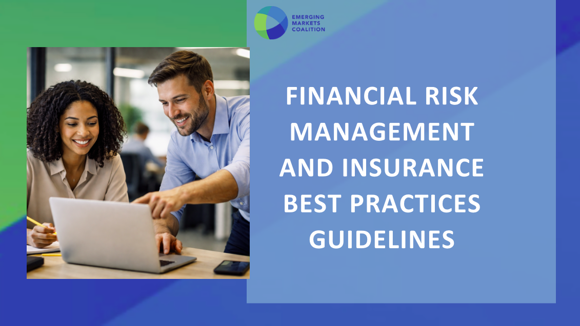 EMC Financial Risk Management and Insurance Best Practices cover image