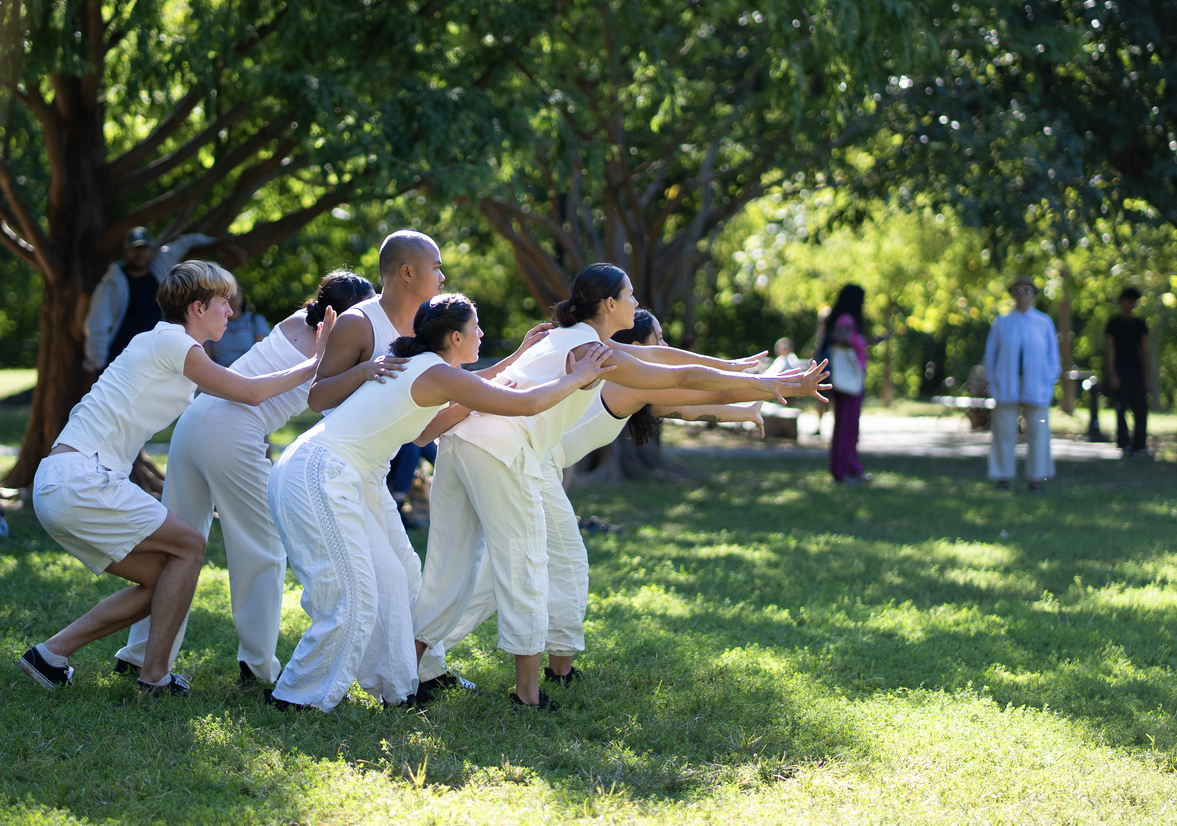 Uptown Dances on the Lawn