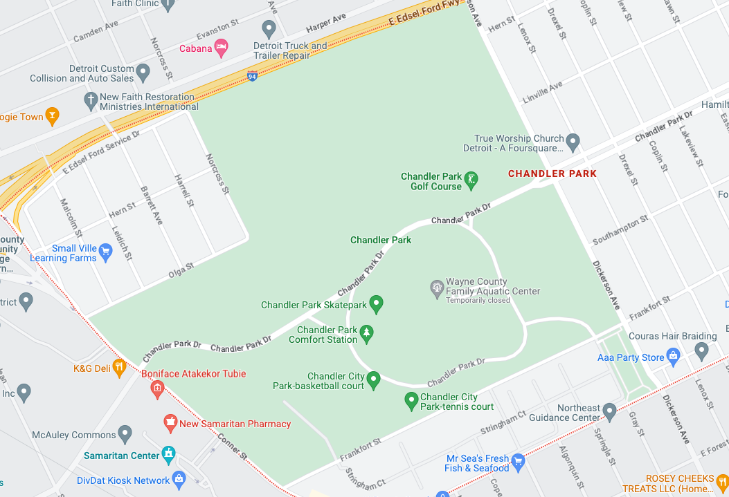 Discover Chandler Park, Detroit: An Untapped Treasure for Real Estate Investor
