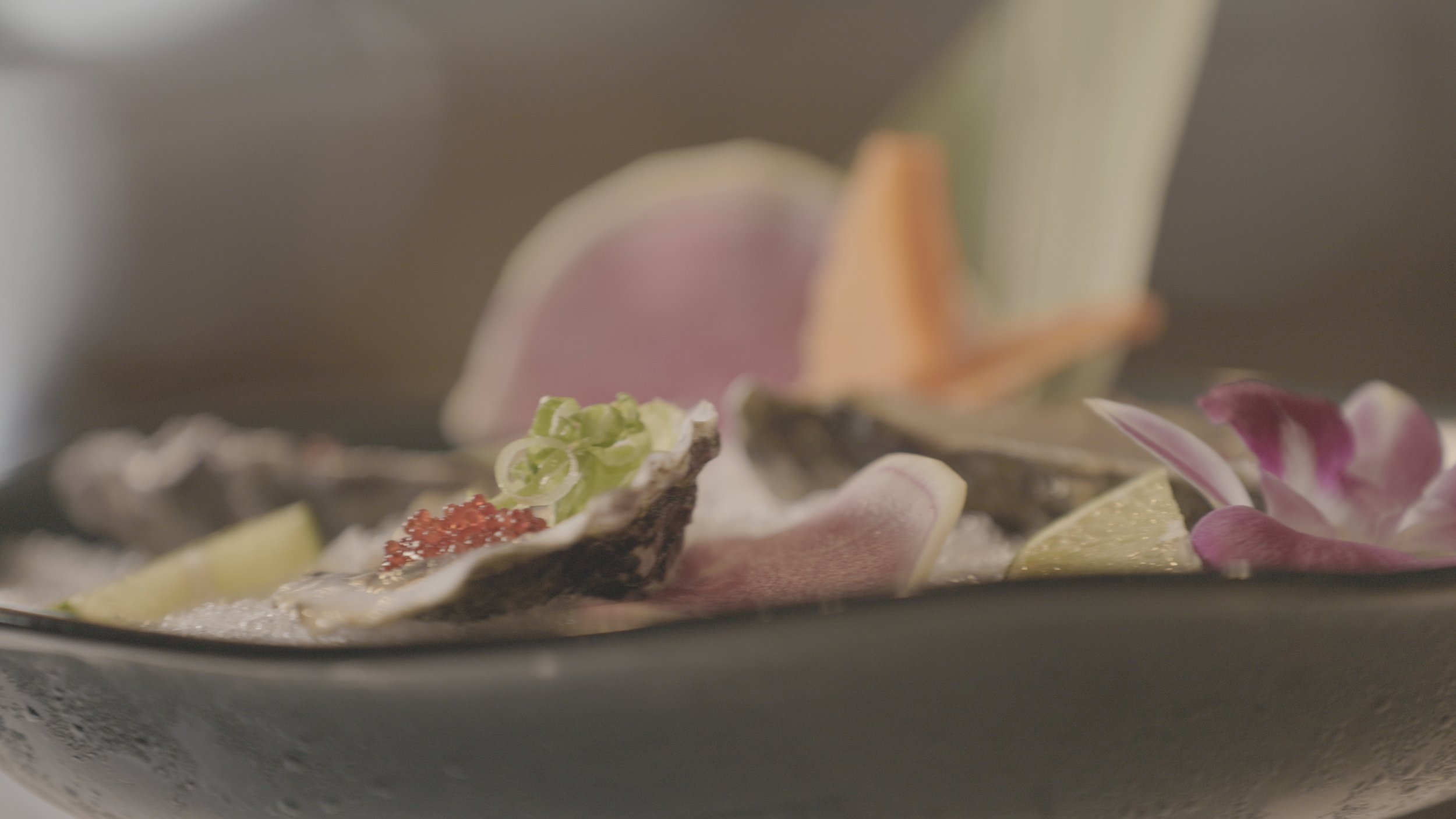 dining.shorebird-restaurant-still.jpg