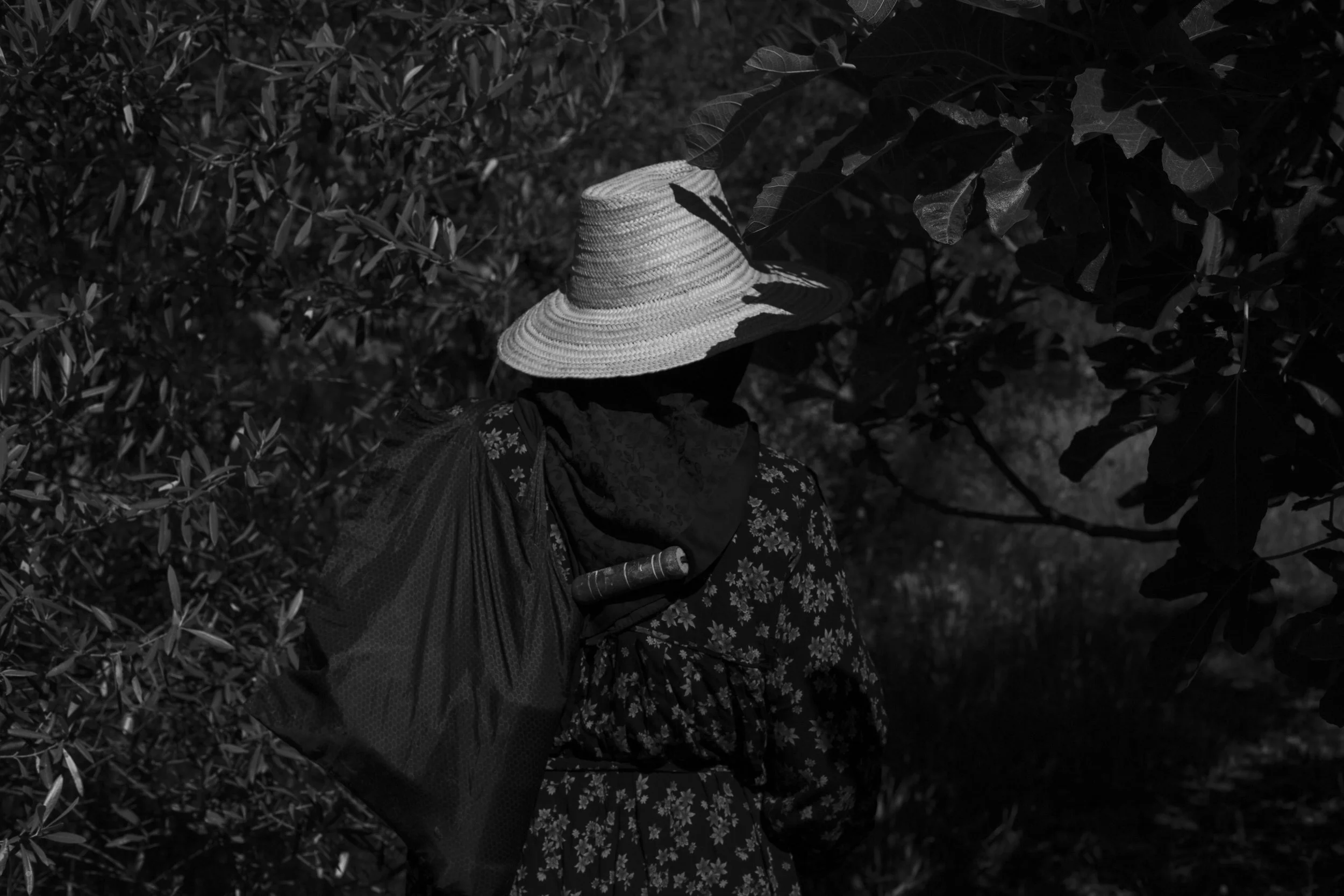 Femme photographiée de dos dans un paysage végétal