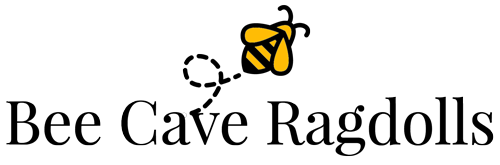 b23f8-bee-cave-color.png