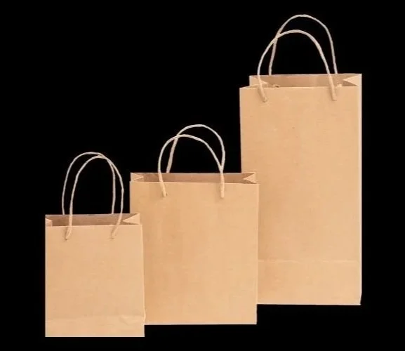 3 brown paper shopping bags in 3 different sizes.