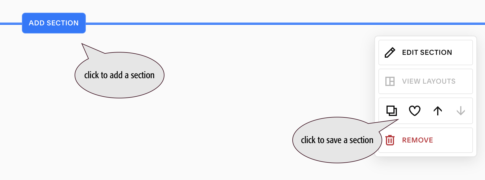 screen capture of where to add a section