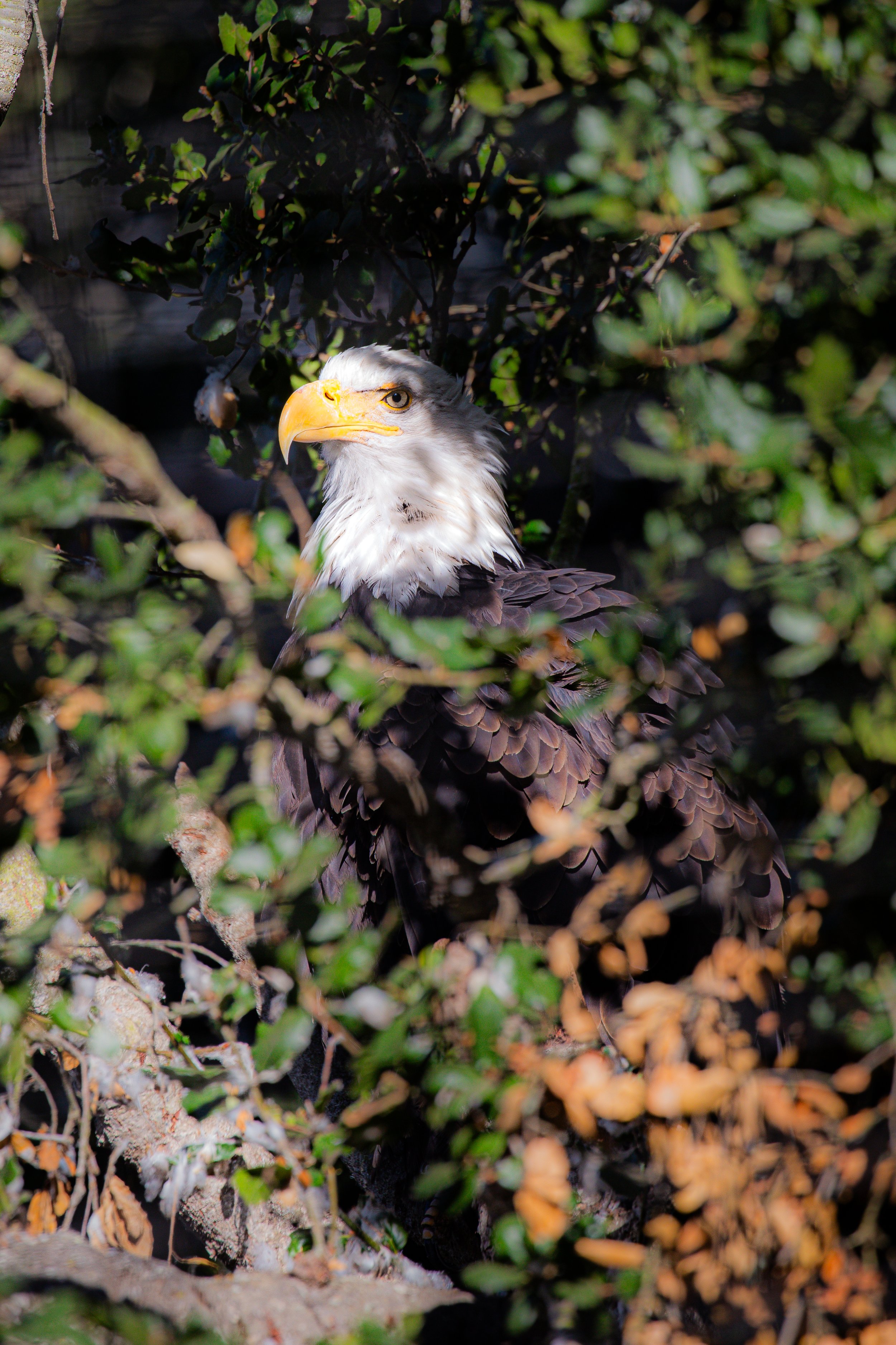 Santa Barbara Zoo 2023