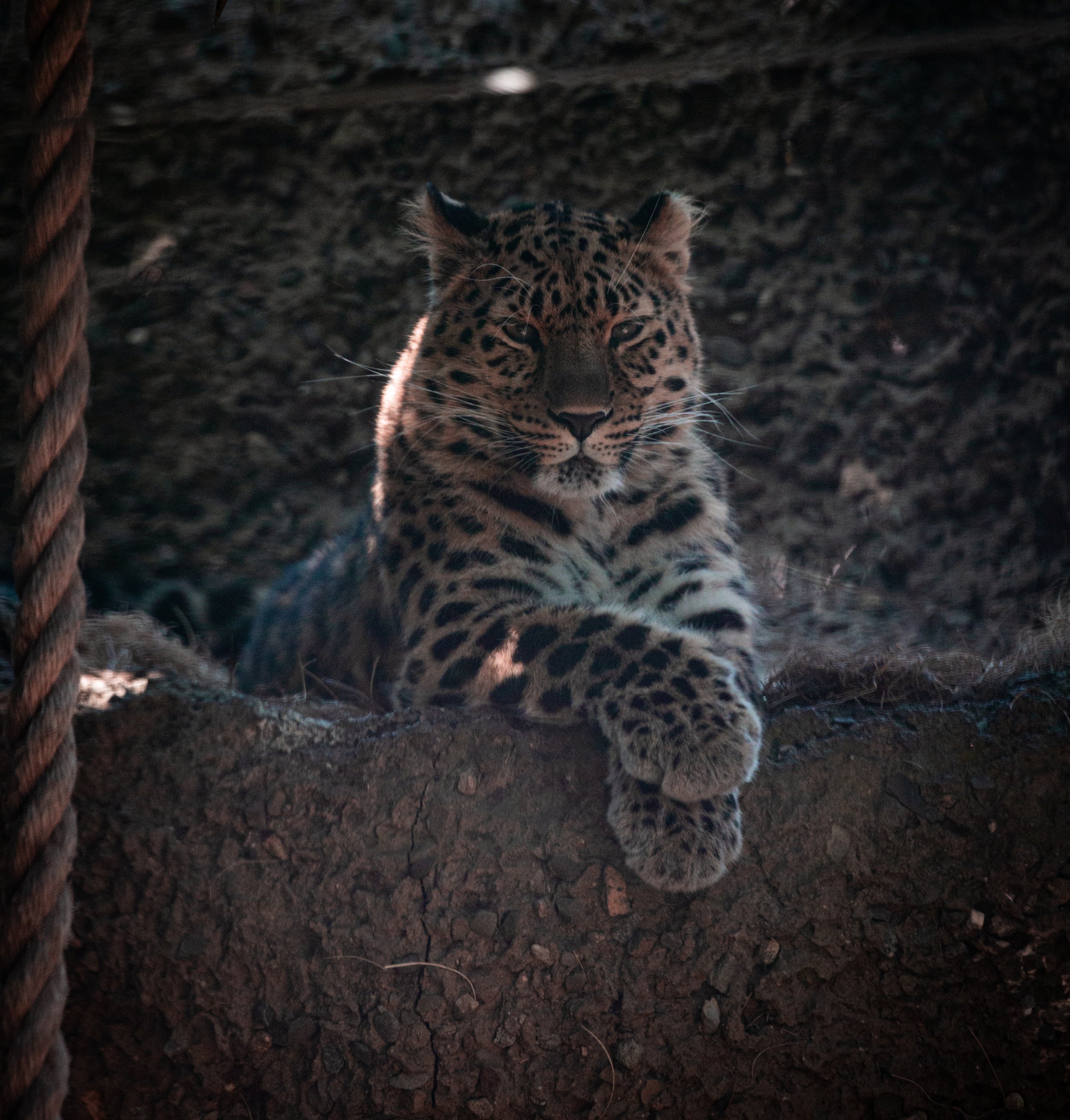 Santa Barbara Zoo 2023