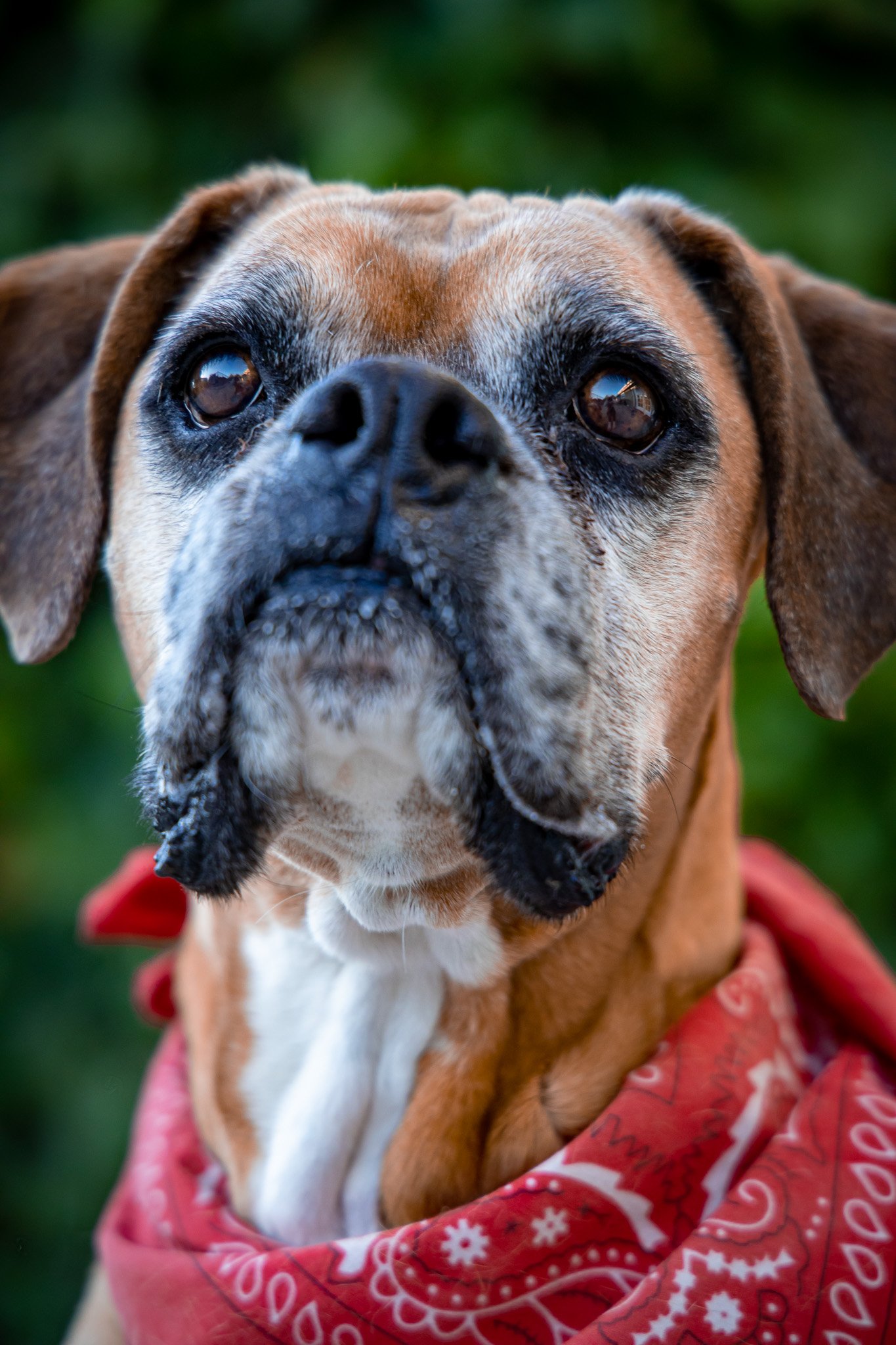 Baxter