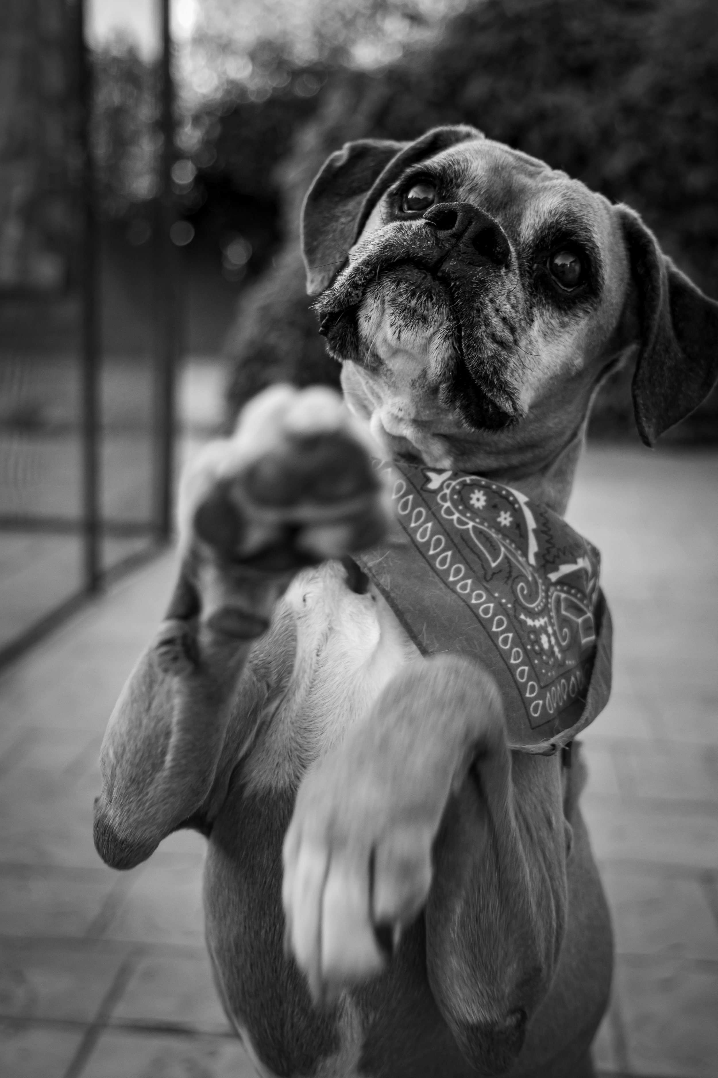 Baxter