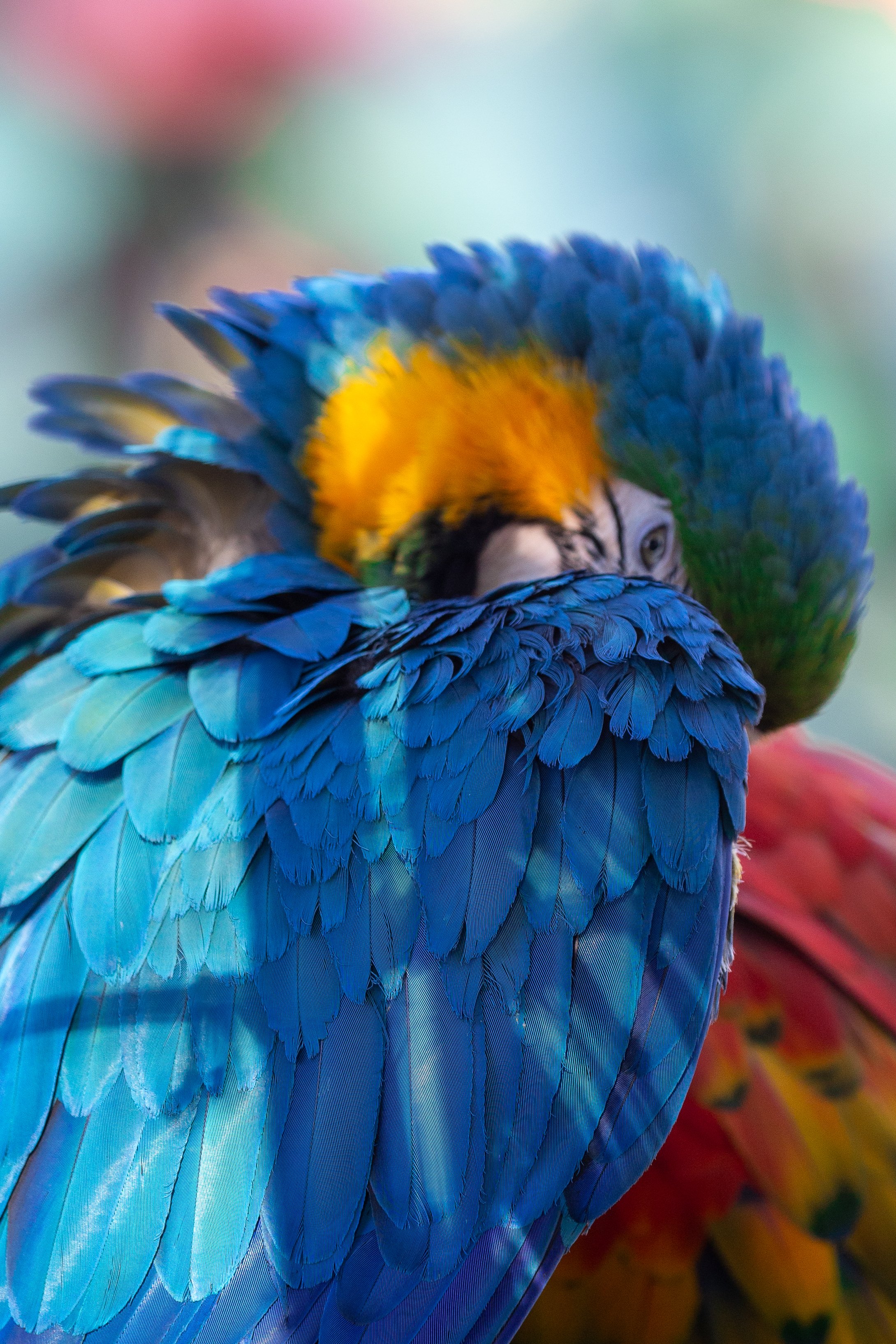 Santa Barbara Zoo 2023