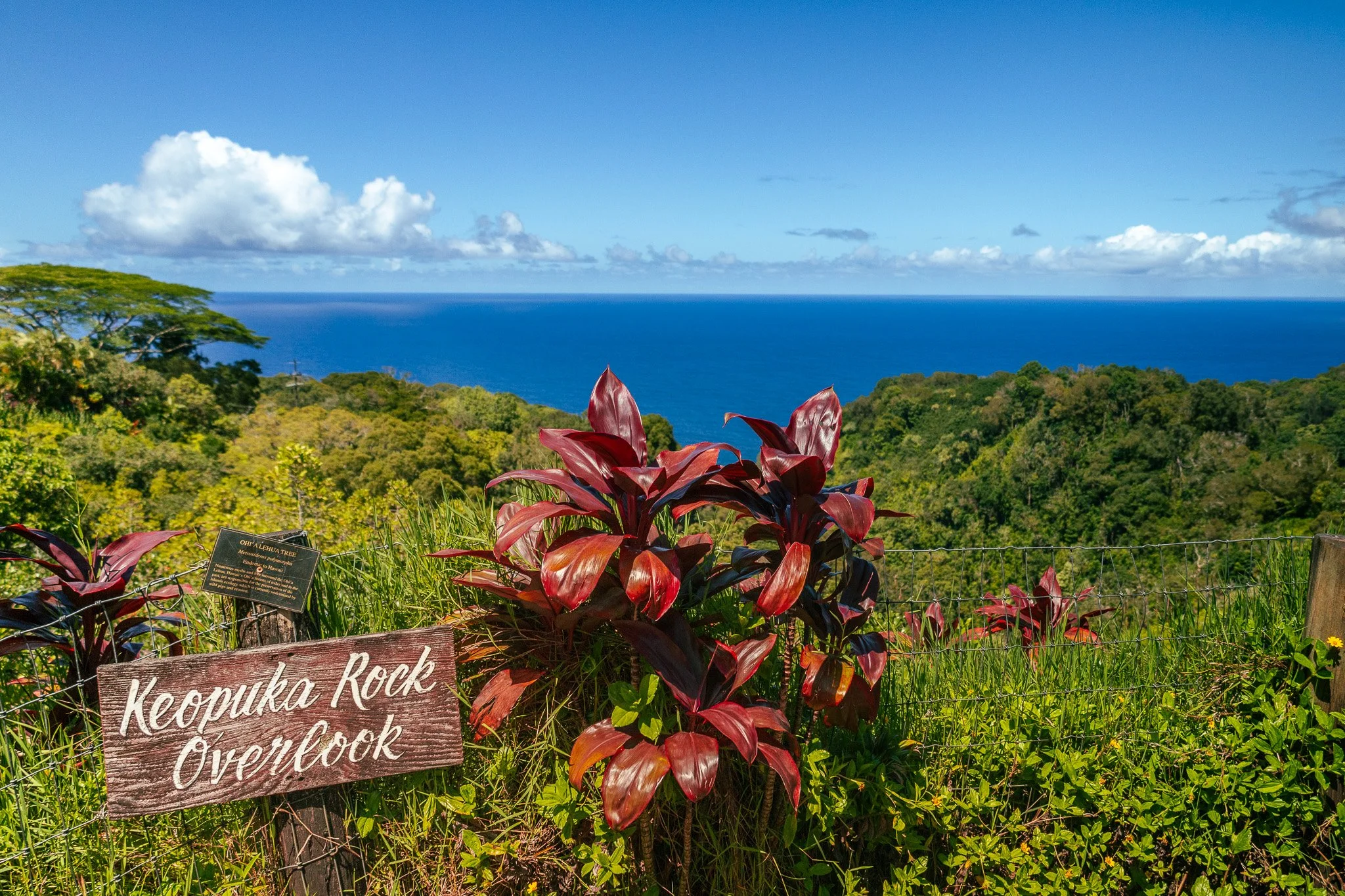 Hawaii_16.jpg