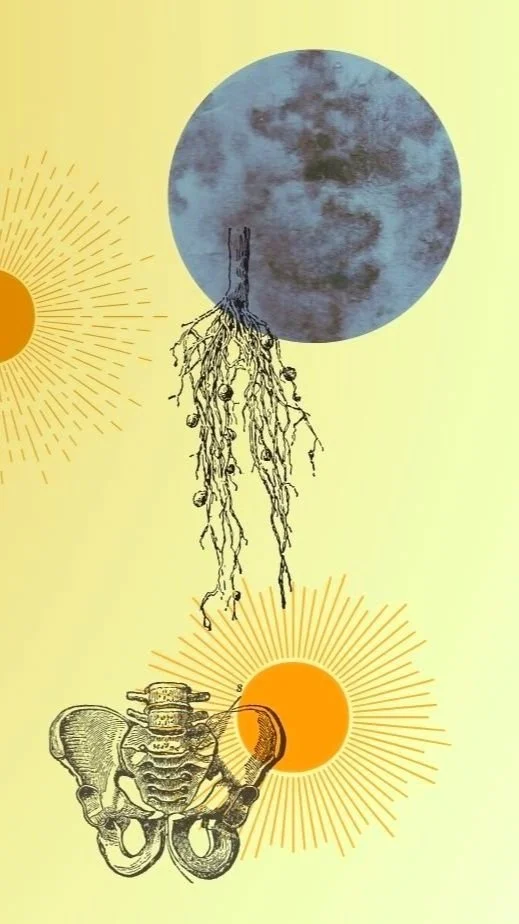 Collage mit Wurzeln, blauem Planeten, Beckenknochen und Sonnenstrahlen auf gelbem Hintergrund