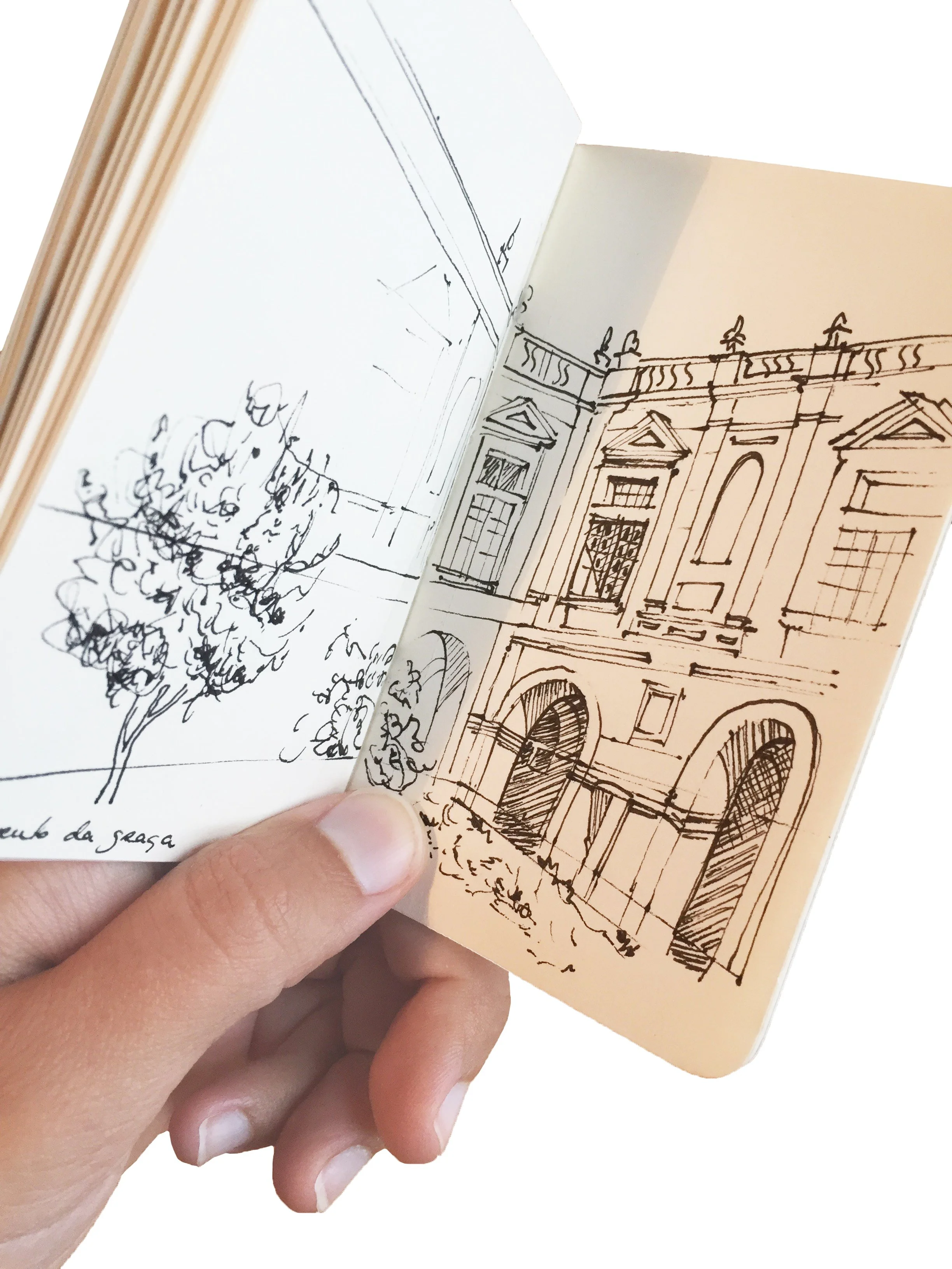 SS_SKETCHBOOK 11.jpg