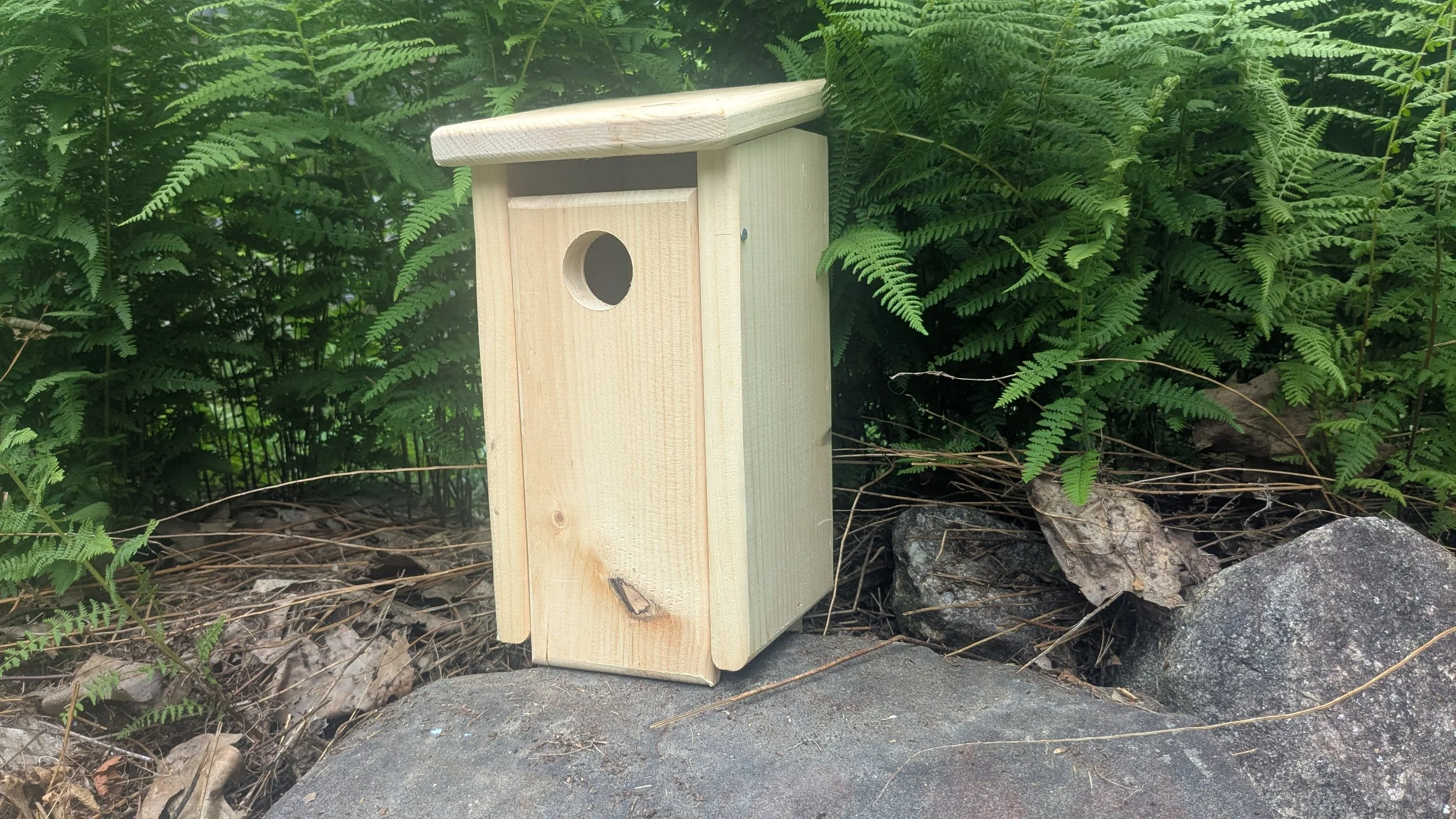 Uncle Bobby’s Bluebird House