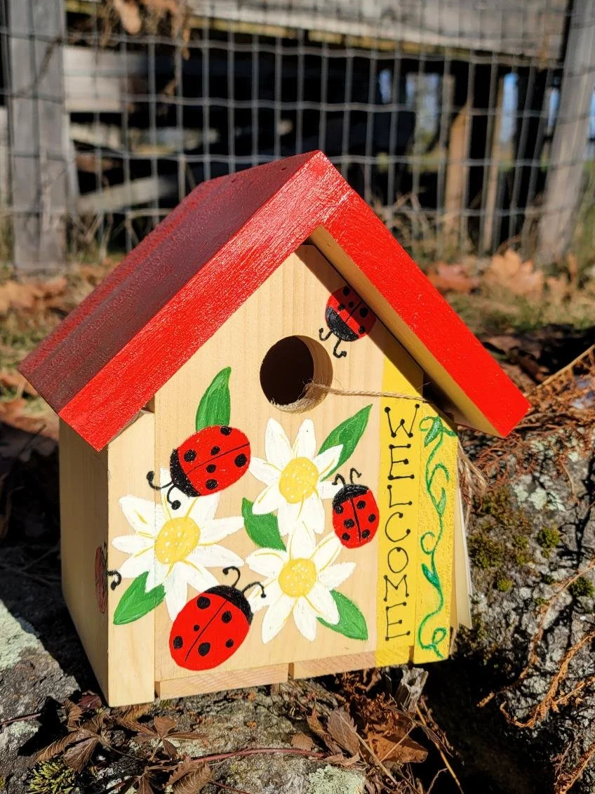 ladybug.jpg
