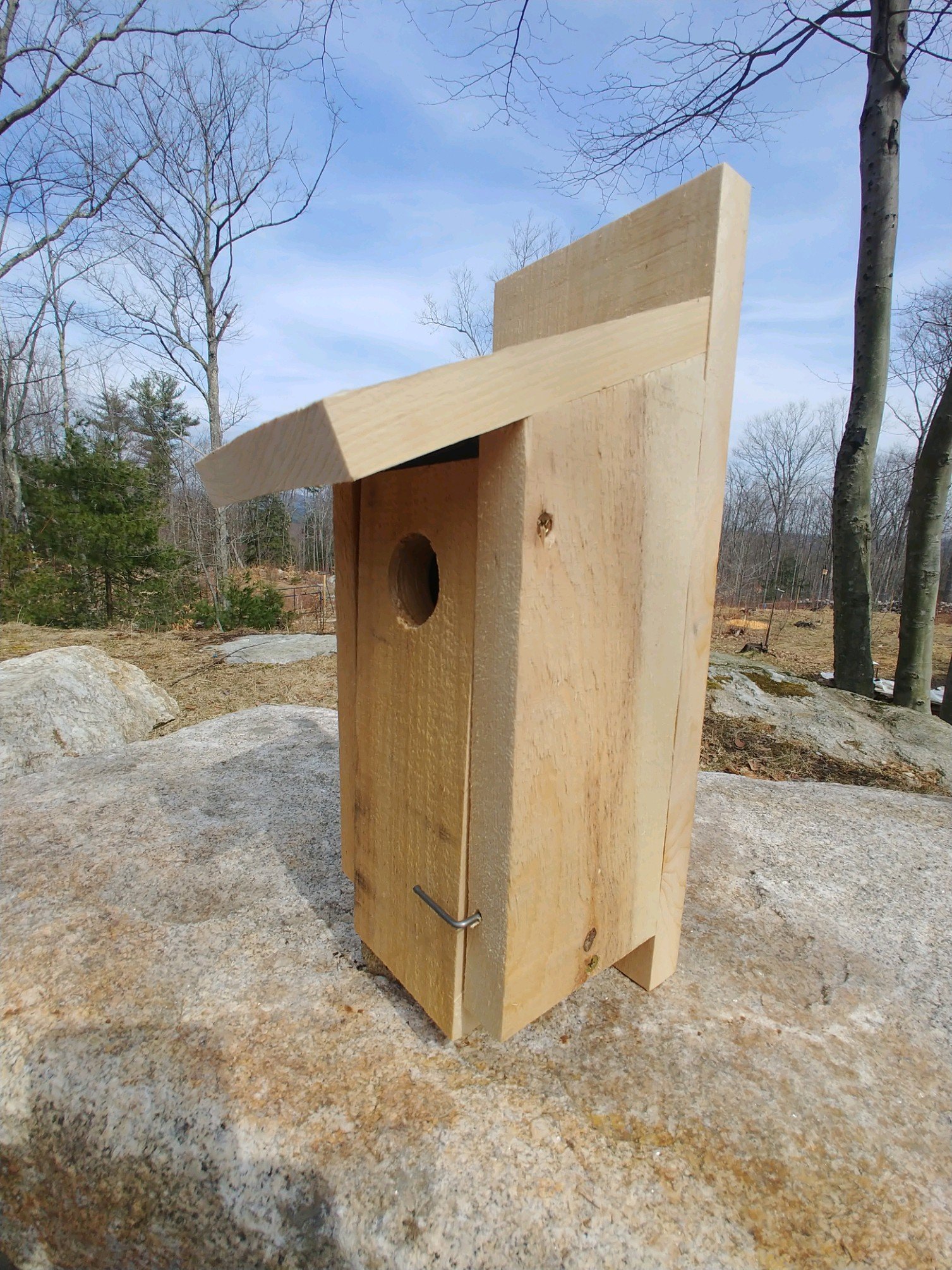Eastern bluebird house.jpeg