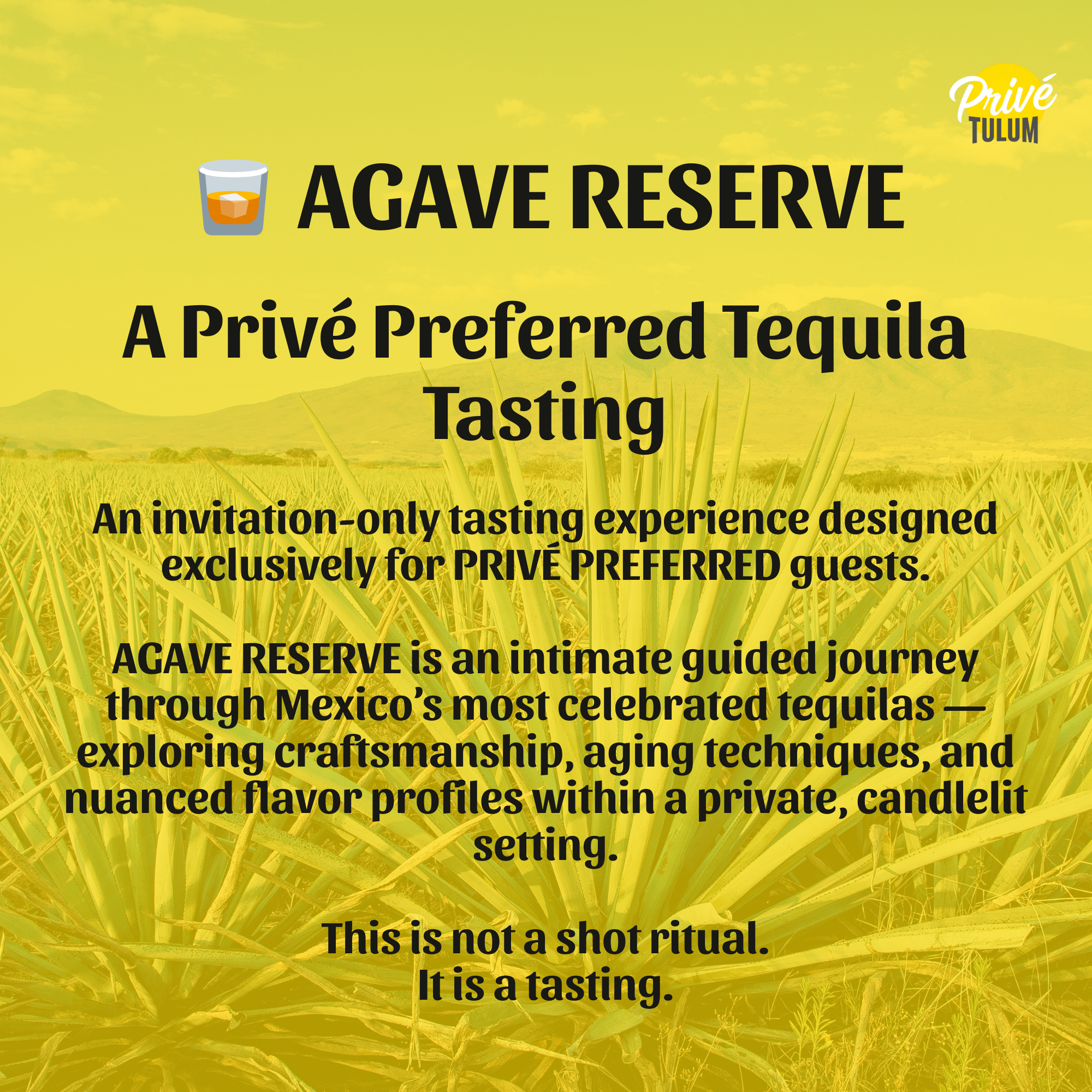 Yellow background with agave plant in the foreground and mountains in the distance. Black text promoting a private agave reserve tequila tasting event in Tulum, with a small icon of a drink glass at the top left corner.