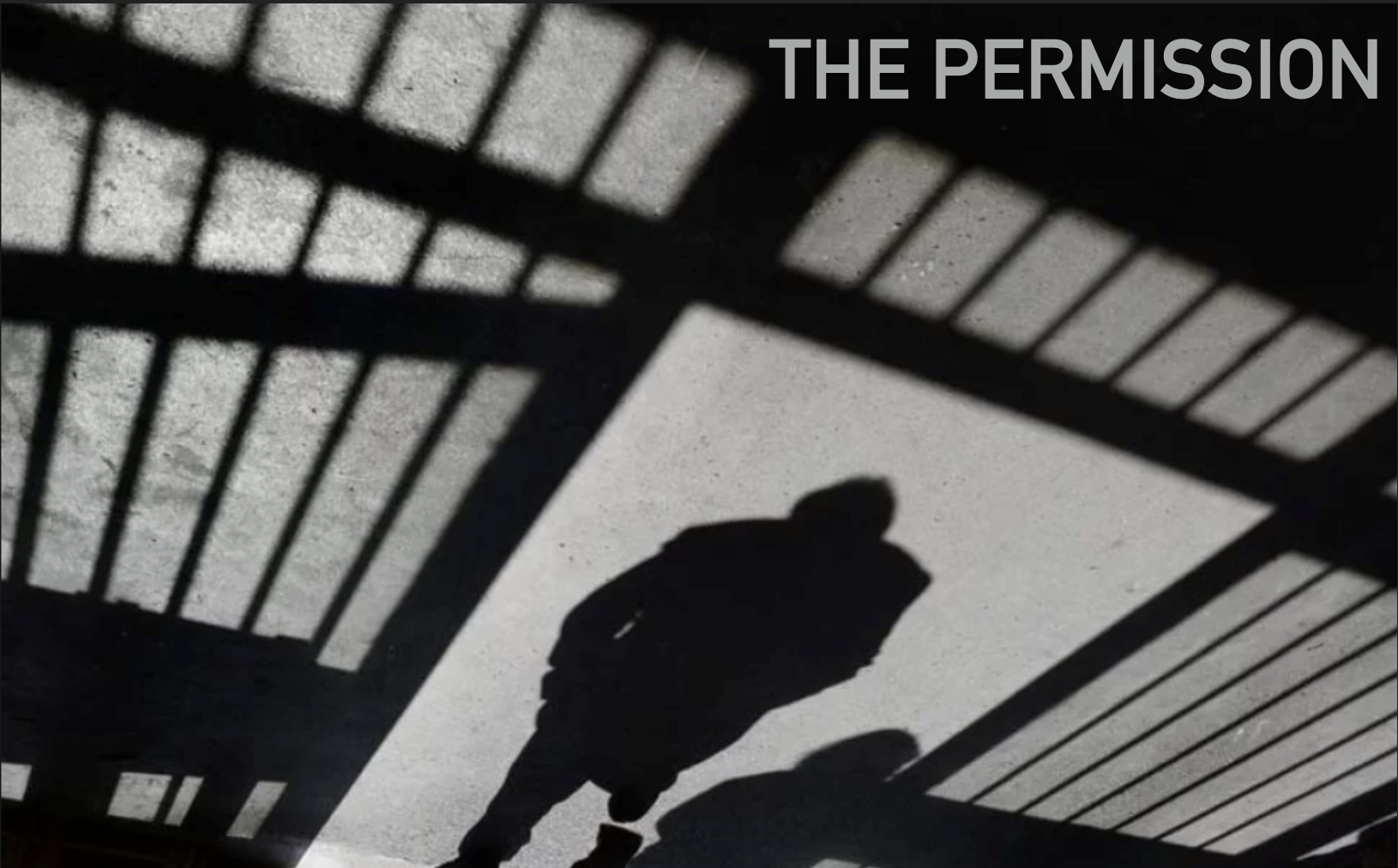 THE PERMISSION