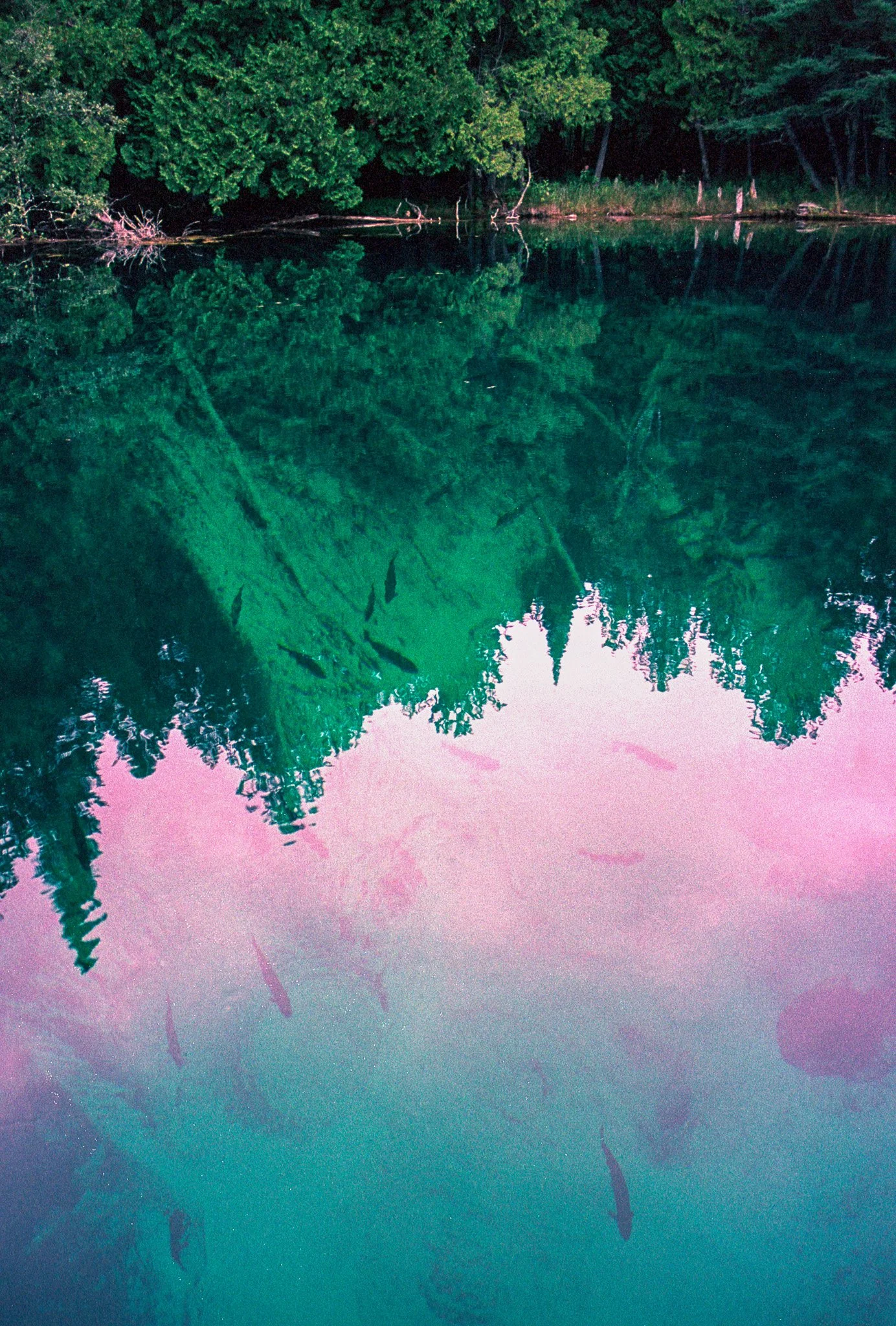 annasummer25MIportra160 (7).jpg