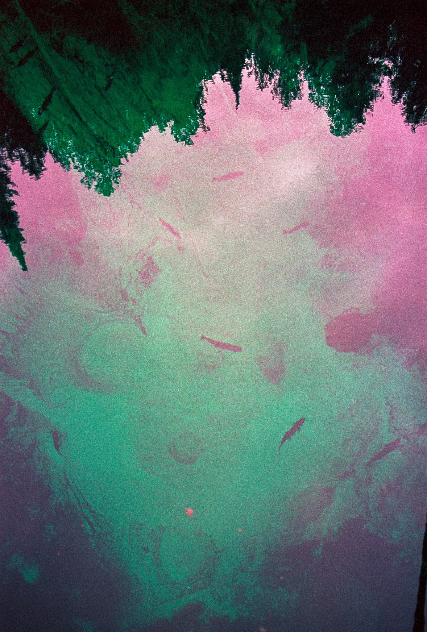 annasummer25MIportra160 (13).jpg