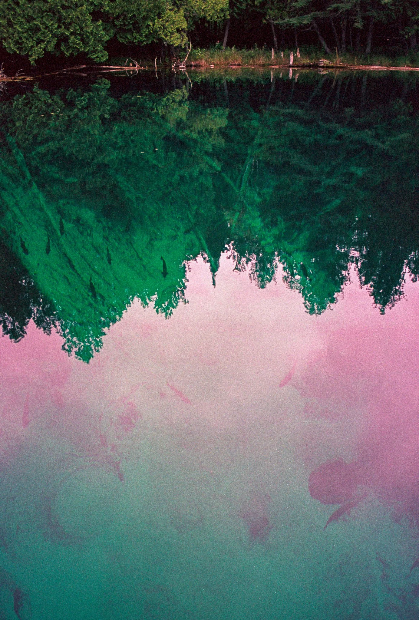 annasummer25MIportra160 (14).jpg