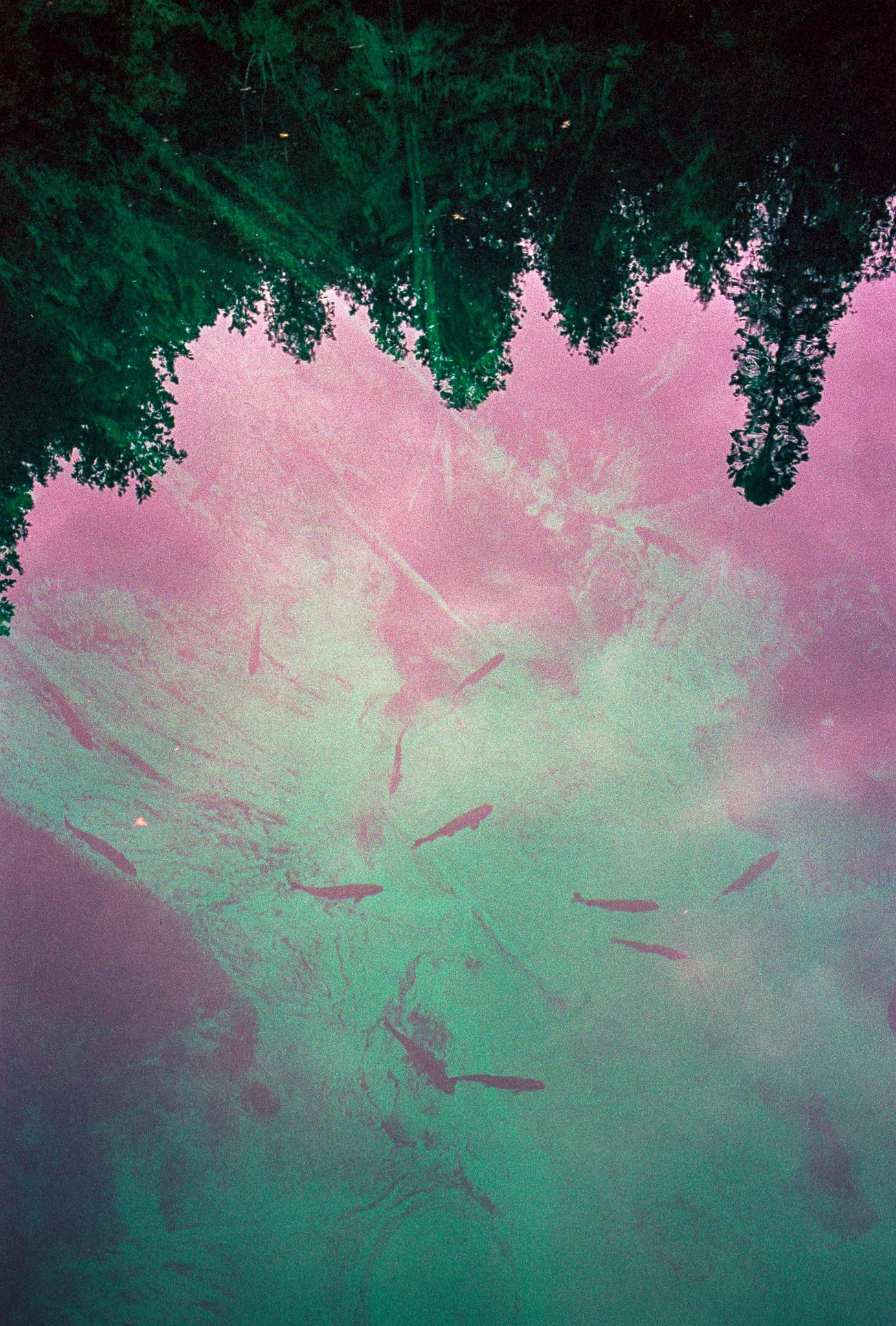 annasummer25MIportra160 (12).jpg