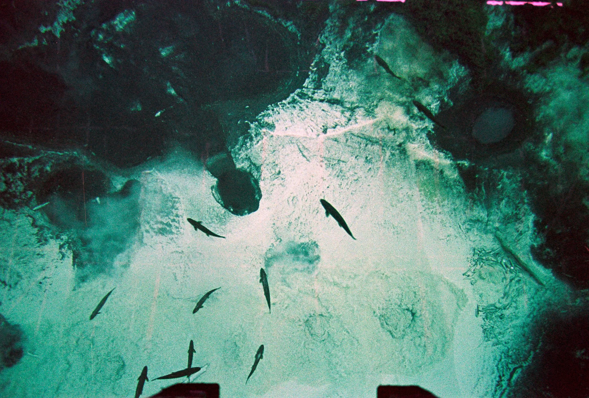 annasummer25MIportra160 (11).jpg