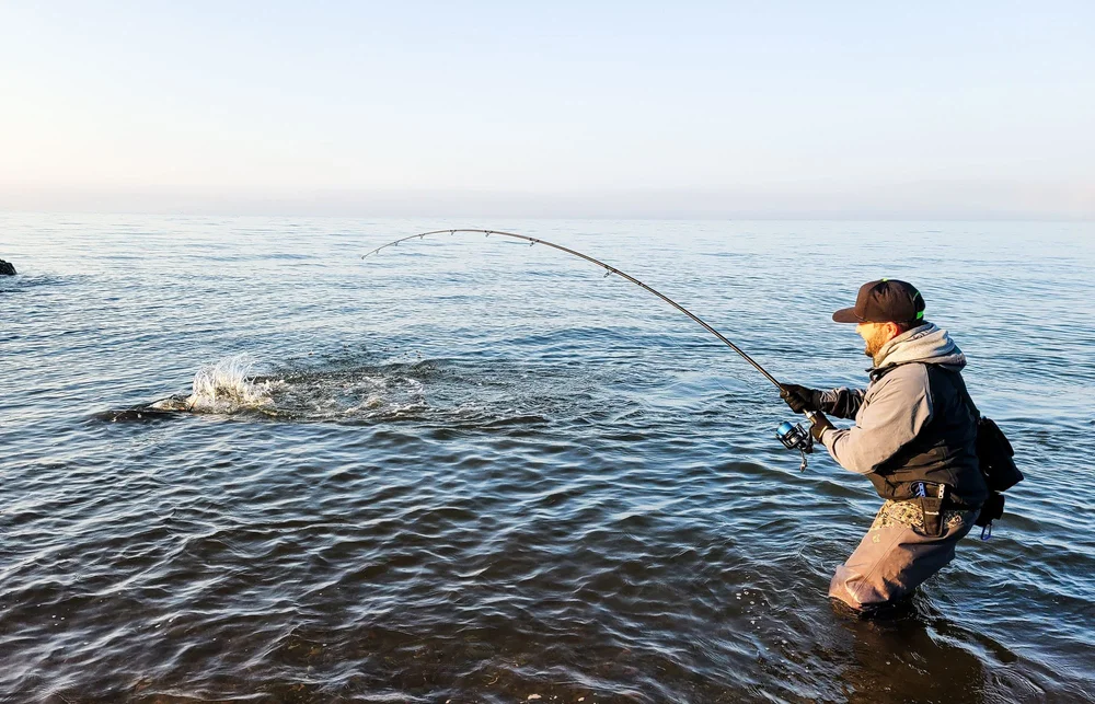 La BaiedesChaleurs Un endroit idéal pour la Pêche Sportive — Rats de Marées Guide de pêche La BaiedesChaleurs Un endroit idéal pour la Pêche Sportive — Rats de Marées Guide de pêche