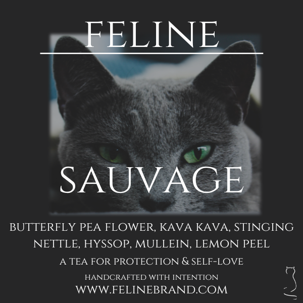 String of Pearls — Cat Behavior Consultant - Feline Fab