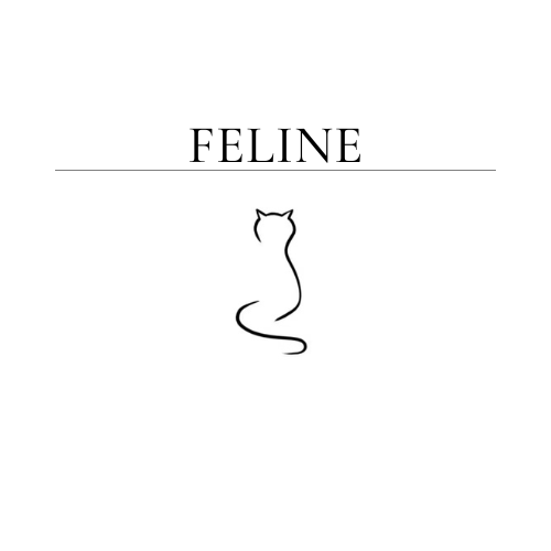 Feline