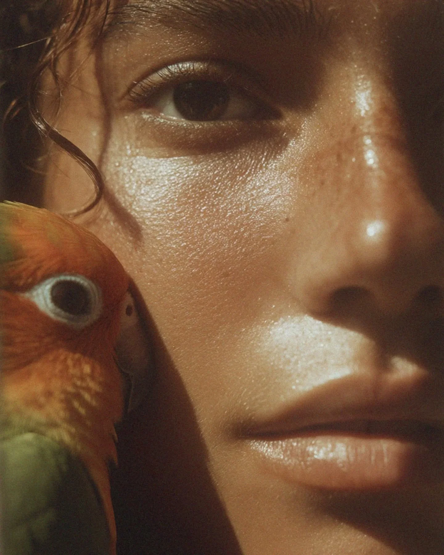 Imaginaire IA 🪄
Animals in Jungle

#nature #animal #parrot&nbsp; #midjourney #aiart #genai #aiartdaily #midjourney #midjourneyai&nbsp; #aigenerated #Storyteller #generatedArt #designmidjourney #creationdemarque #generativeai #shooting #beautiful #de