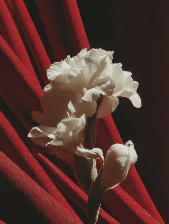 Imaginaire IA 🪄
 Red Hotel 
#redhotel #redhotelegance #midjourney #aiartdaily #midjourneygallery #aigenerated #storyteller #aiart