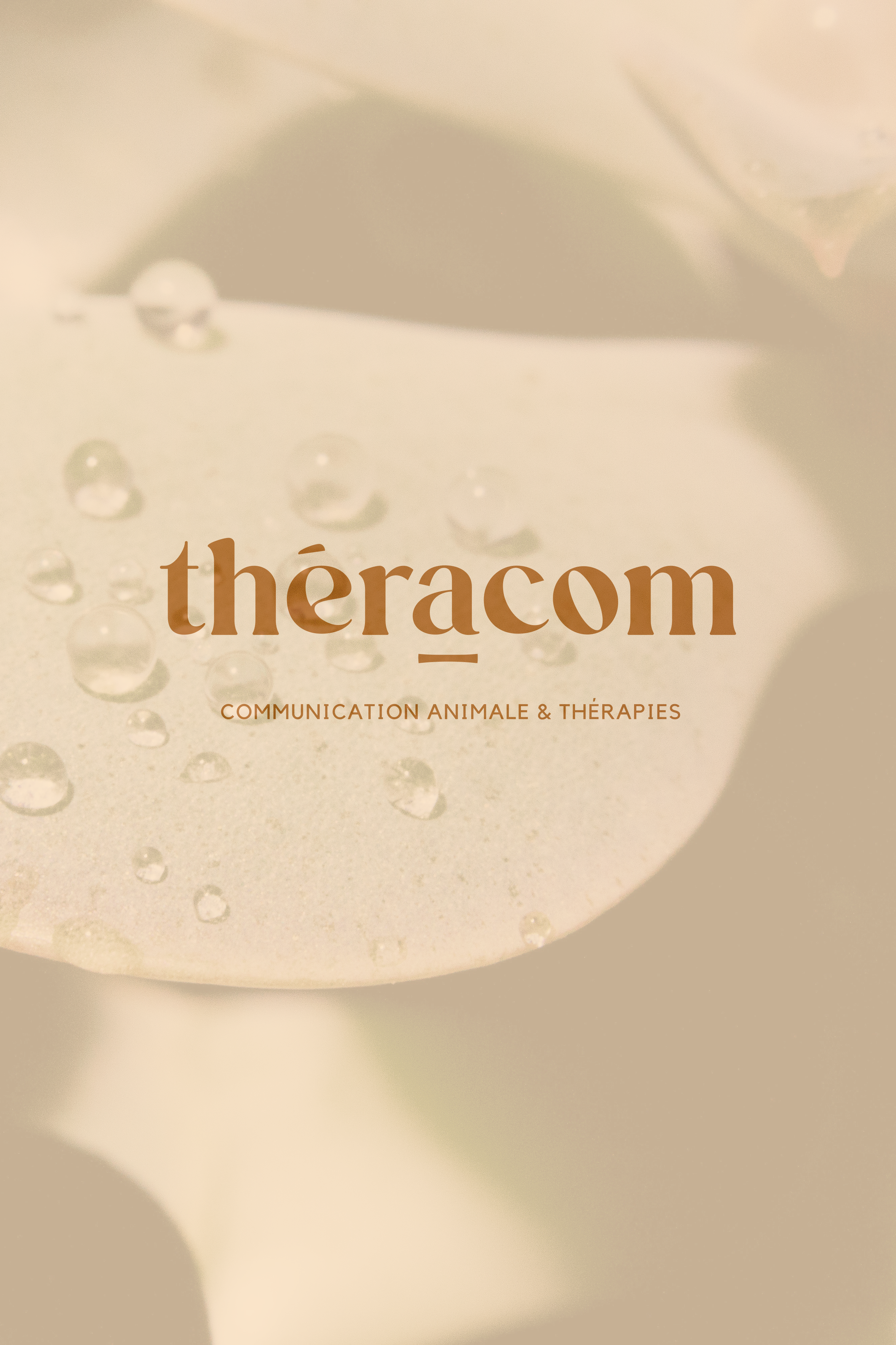 Stratégie de branding et création de l'identité visuelle de Théracom (logos, harmonie des couleurs, illustrations, feed Instagram).