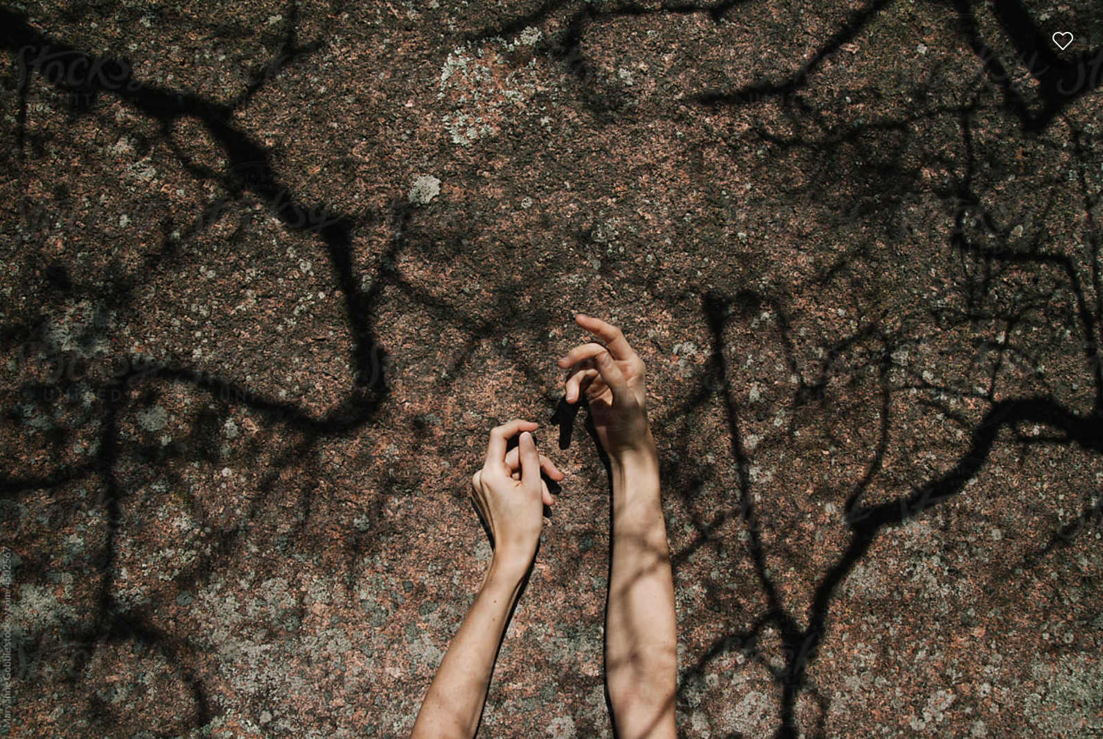 Ressources gratuites source d'informations de Digitale Avenue