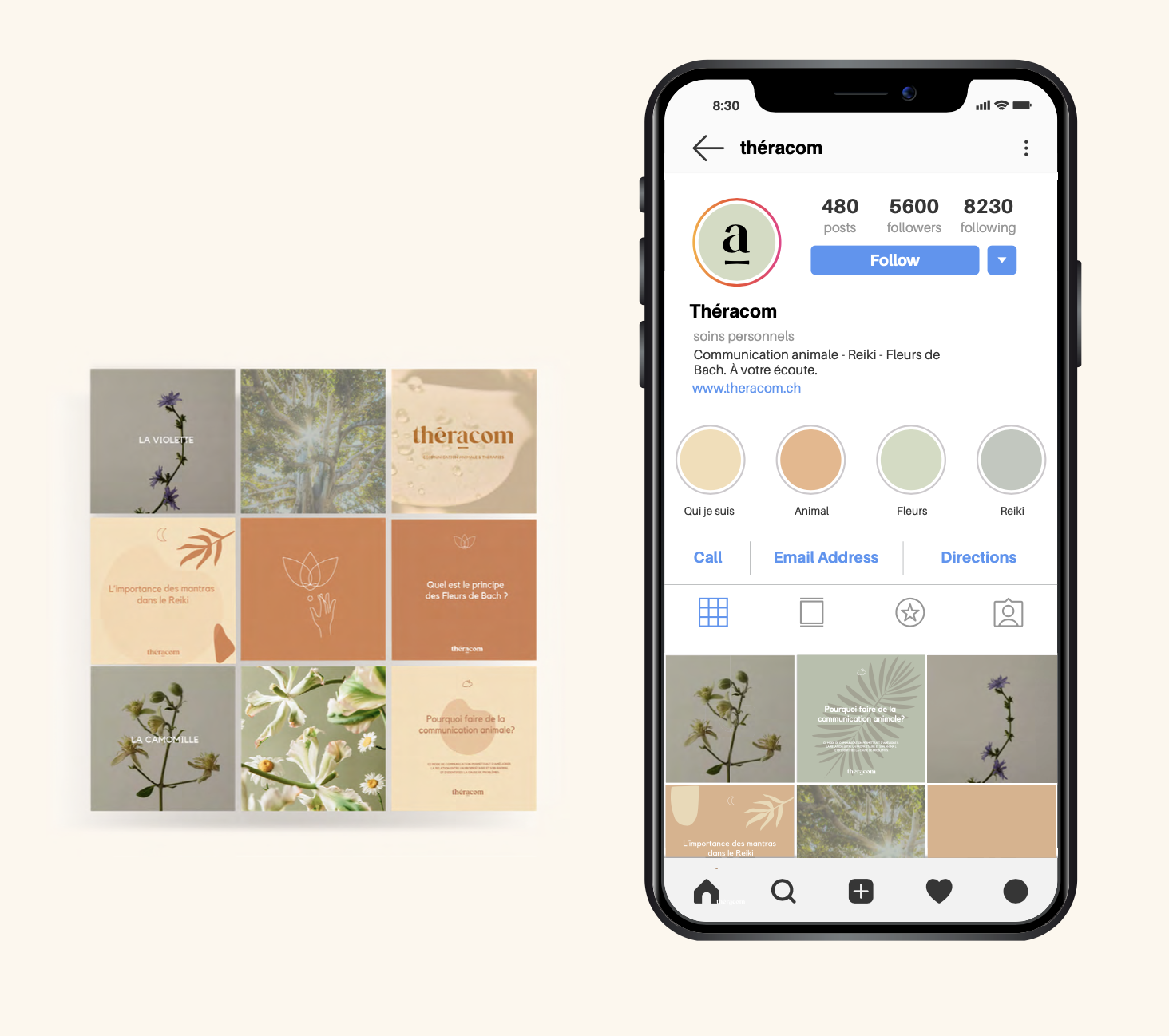 Feed Instagram pour Théracom