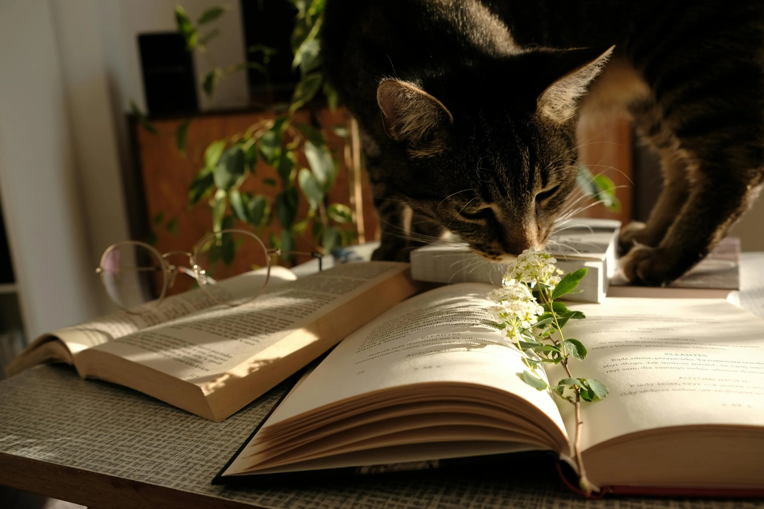 Digital Gardening for Writers: Grow Ideas, Beat Writer’s Block, and Stay Inspired