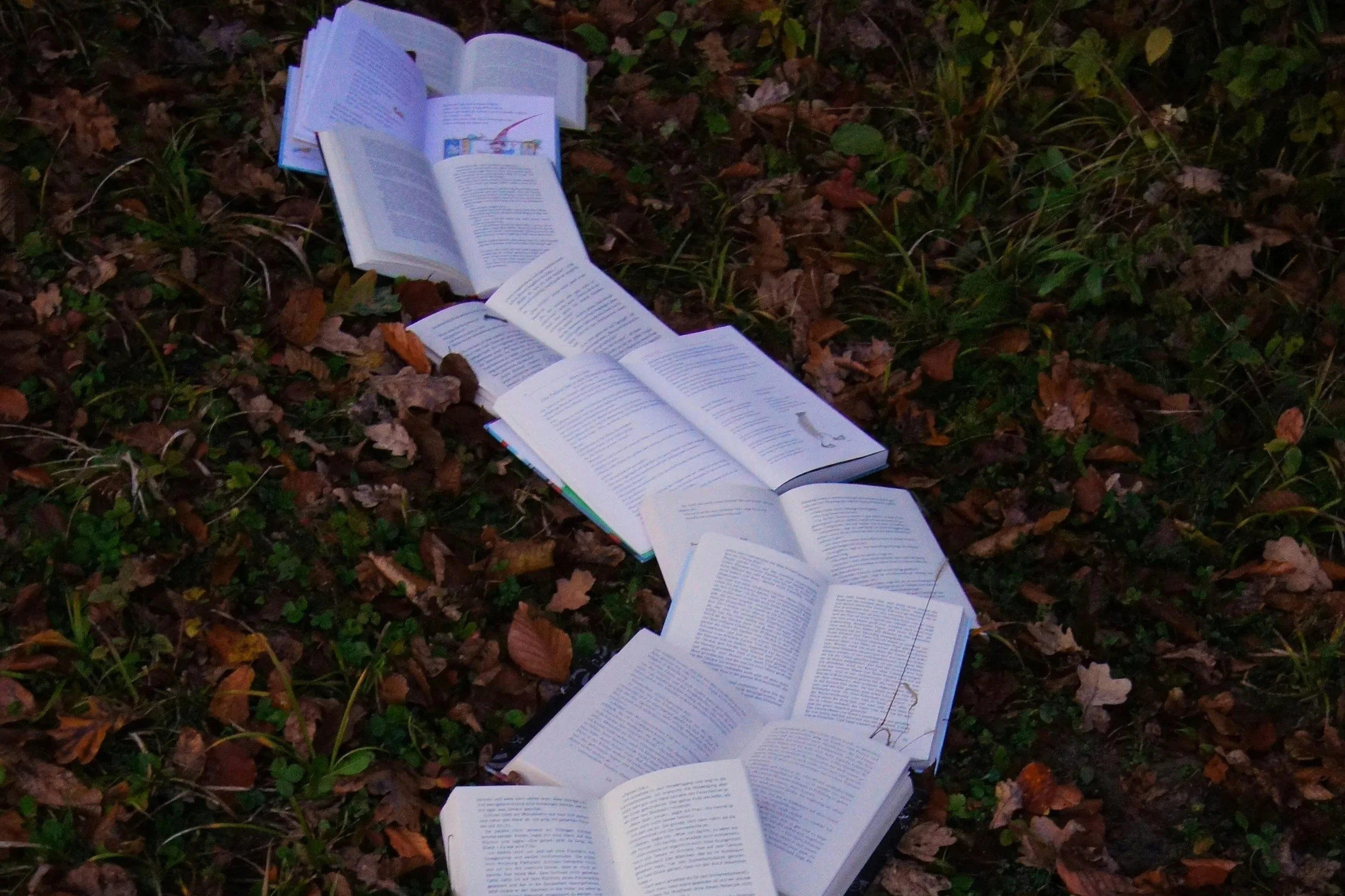 Open books laid in a path on an autumn forest floor.