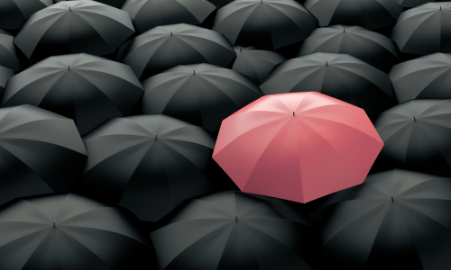 How PE-Backed Companies Think About Marketing Investment