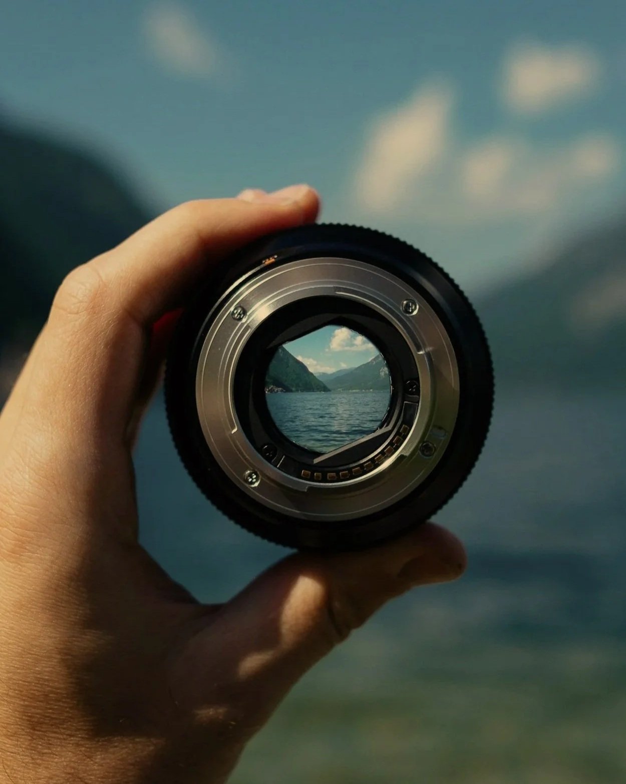 Fractional CMO vs VP of Marketing: Which Does Your Company Need?