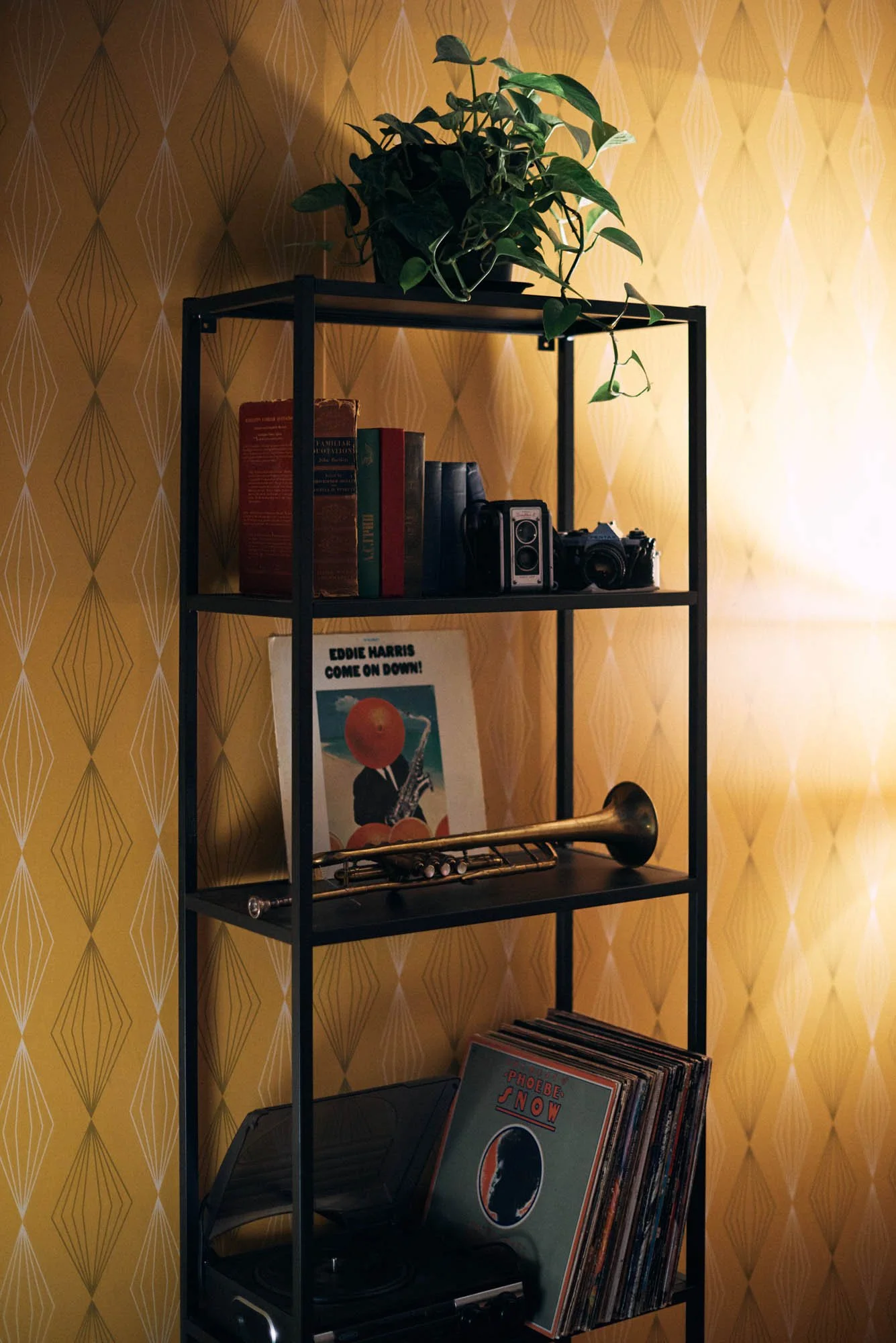 A metal bookshelf against a yellow patterned wall with books, cameras, potted plant, vinyl records, and a trumpet.