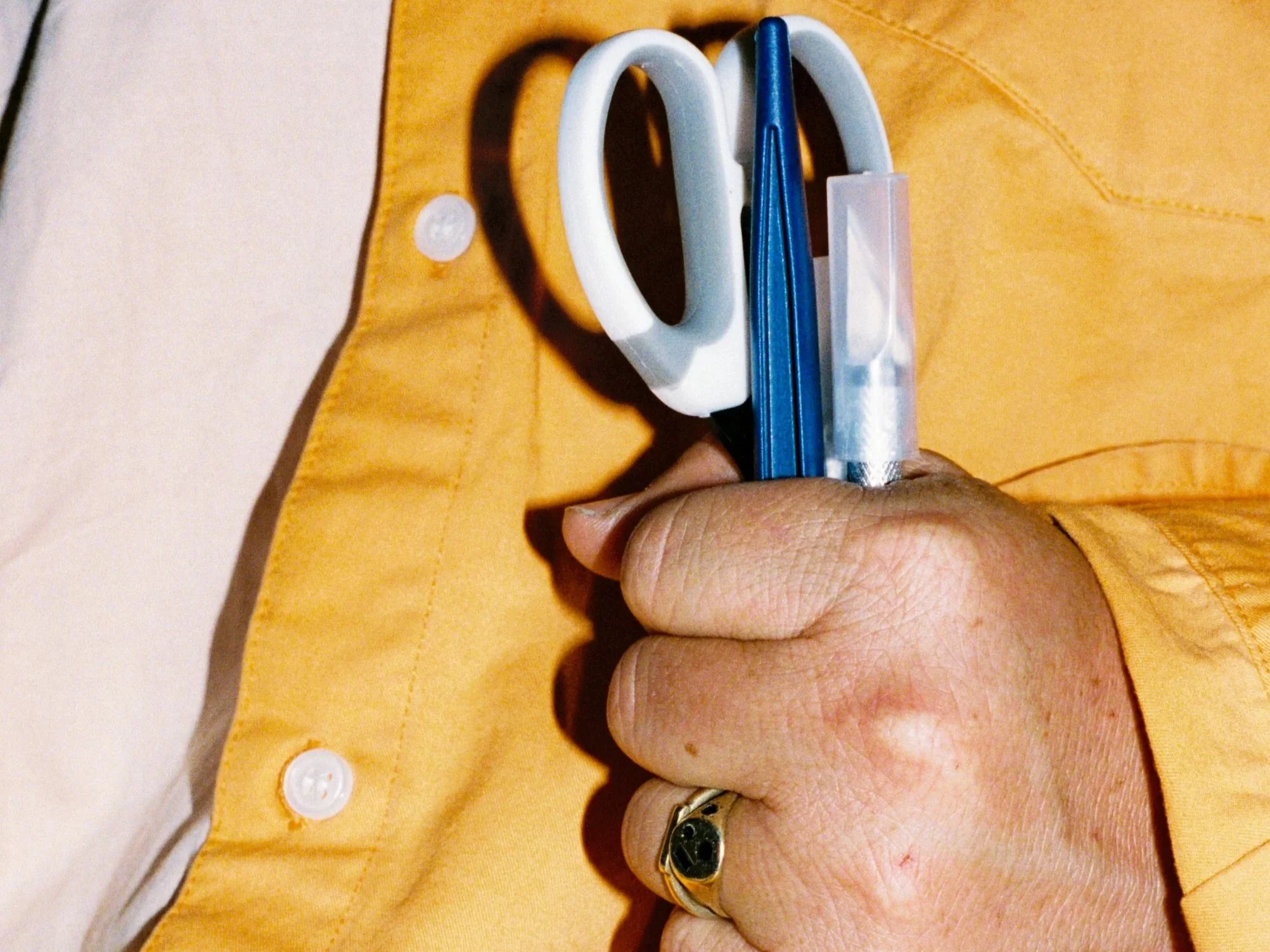 Original collage artwork by Dani, framed in oak timber